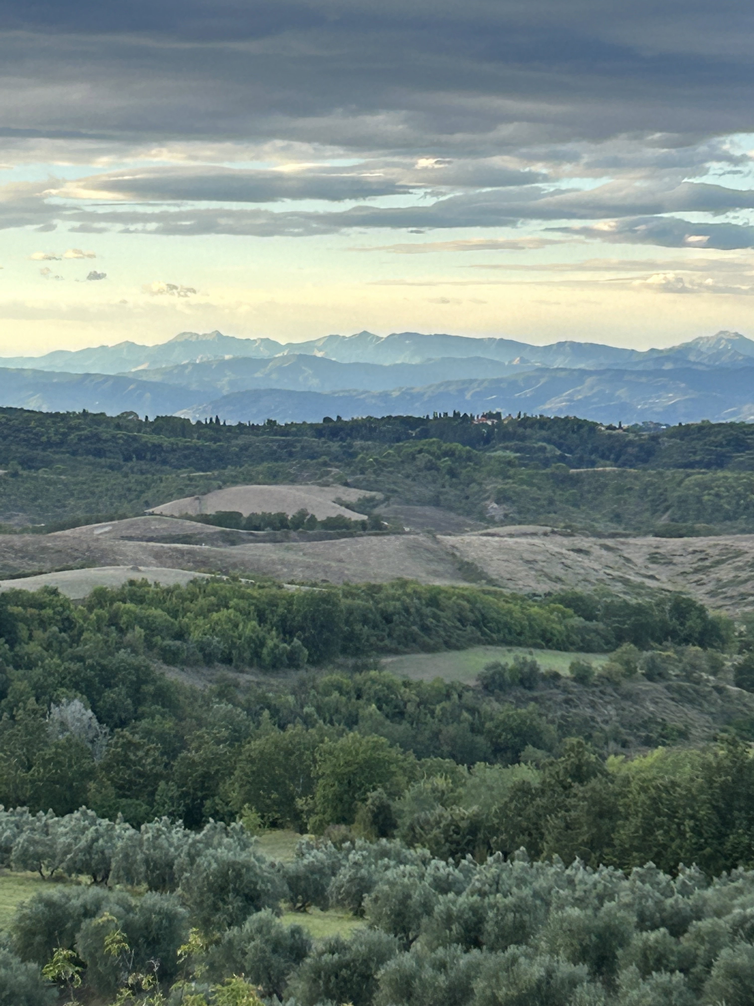 - image: 21