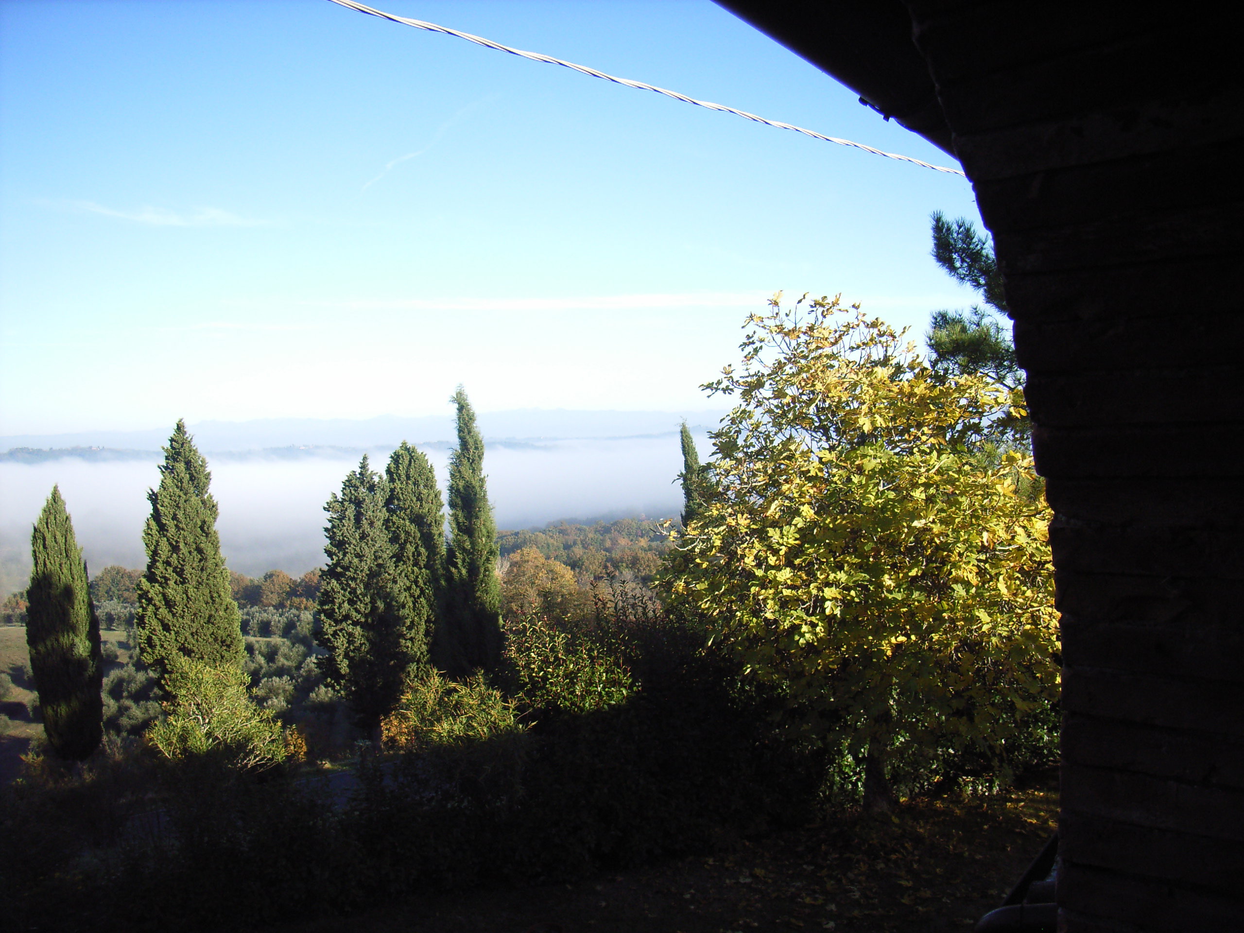 - image: 13
