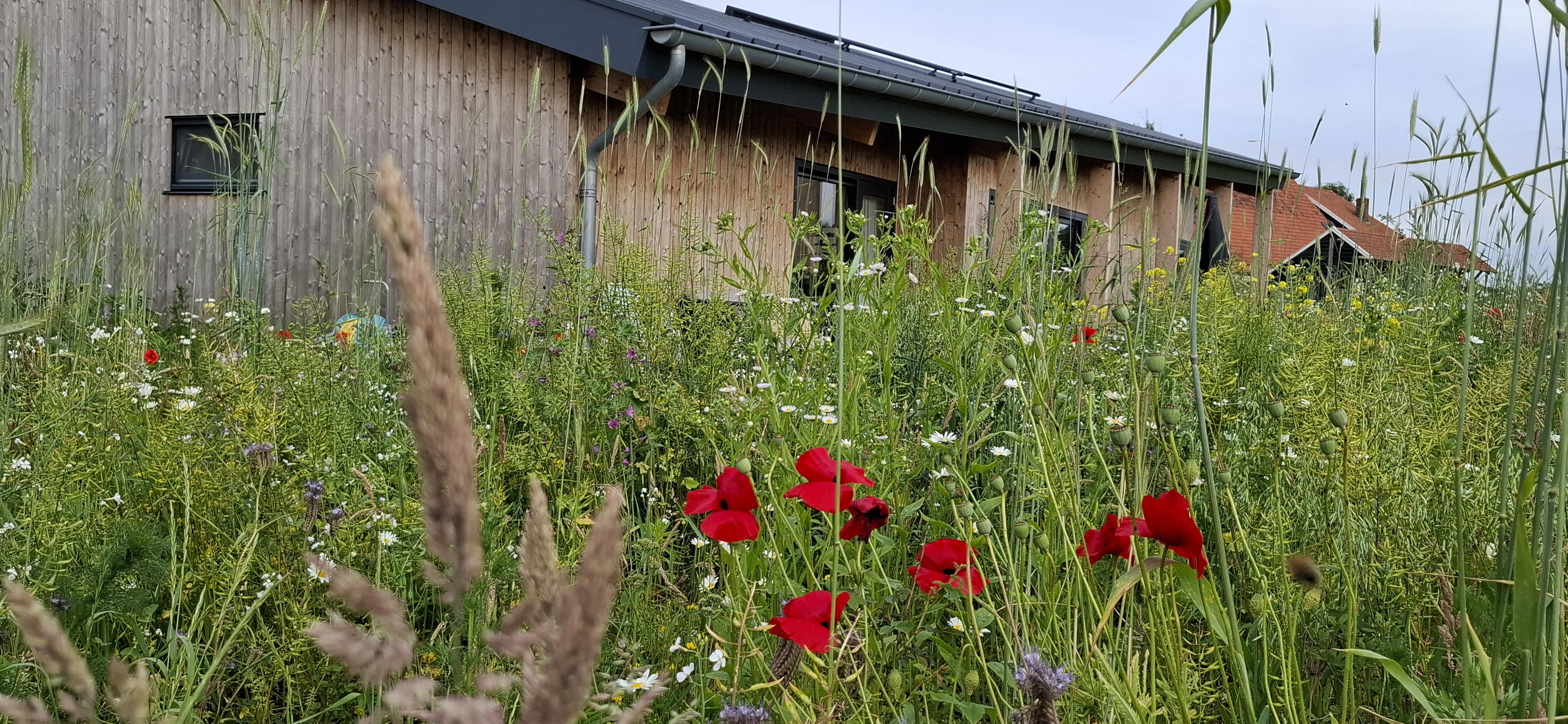 Casa nella natura a Diepenheim