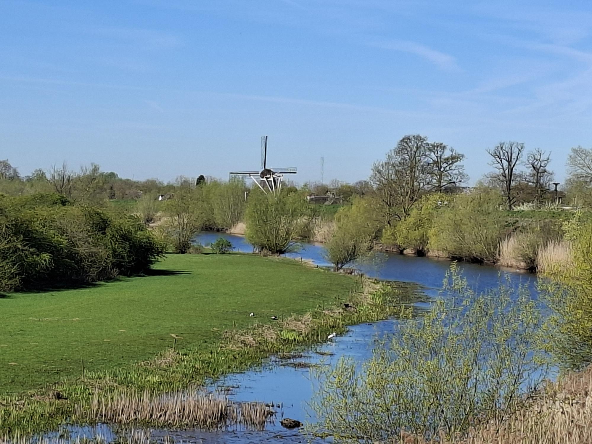 Maison nature à Neerijnen