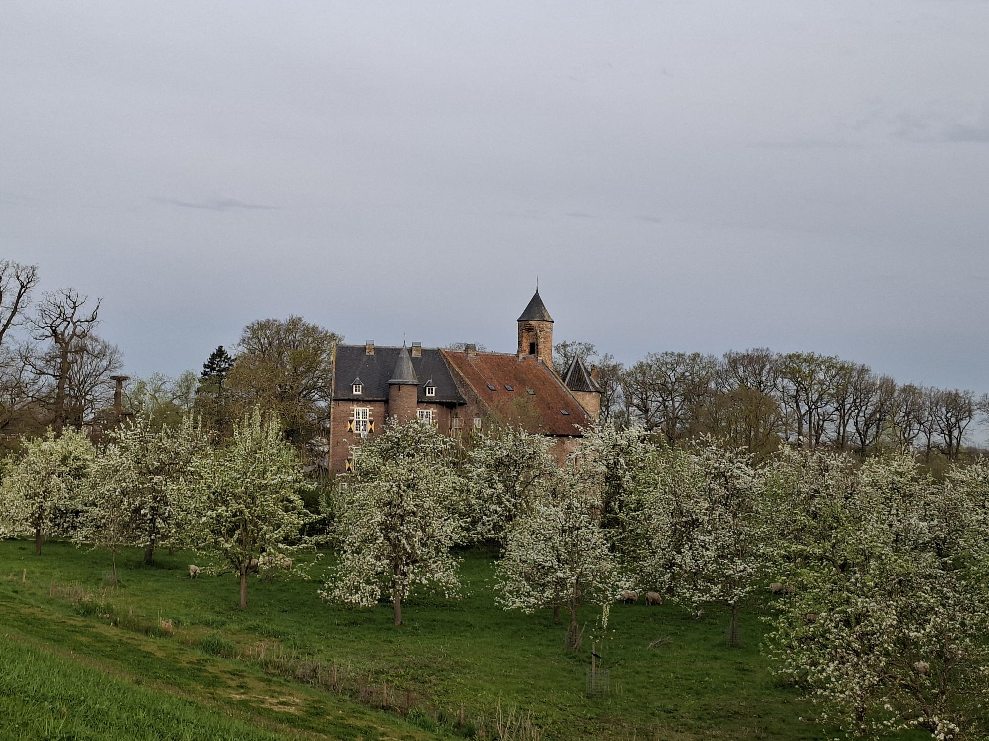 Maison nature à Neerijnen