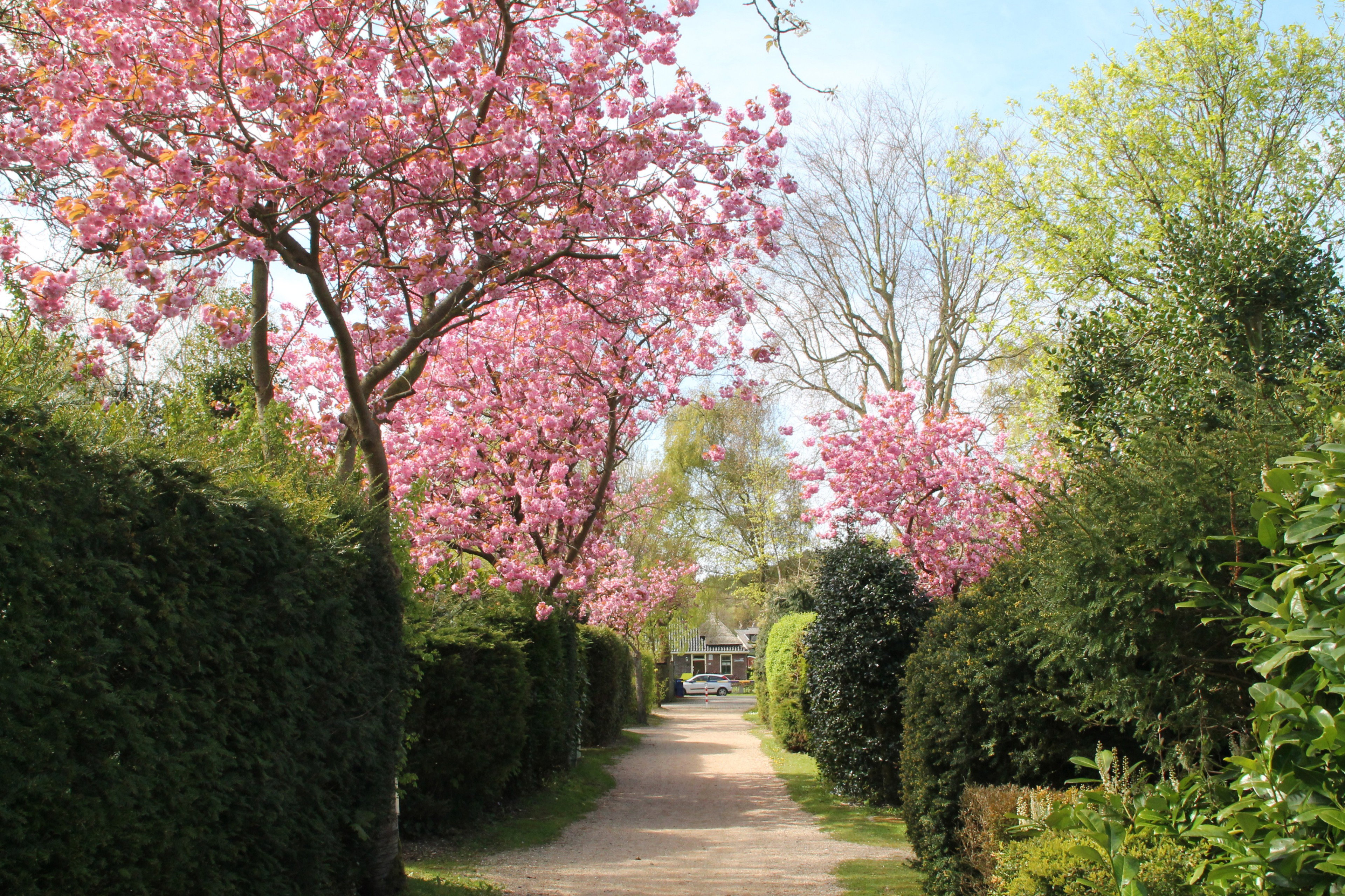 Nature house in Schoorl