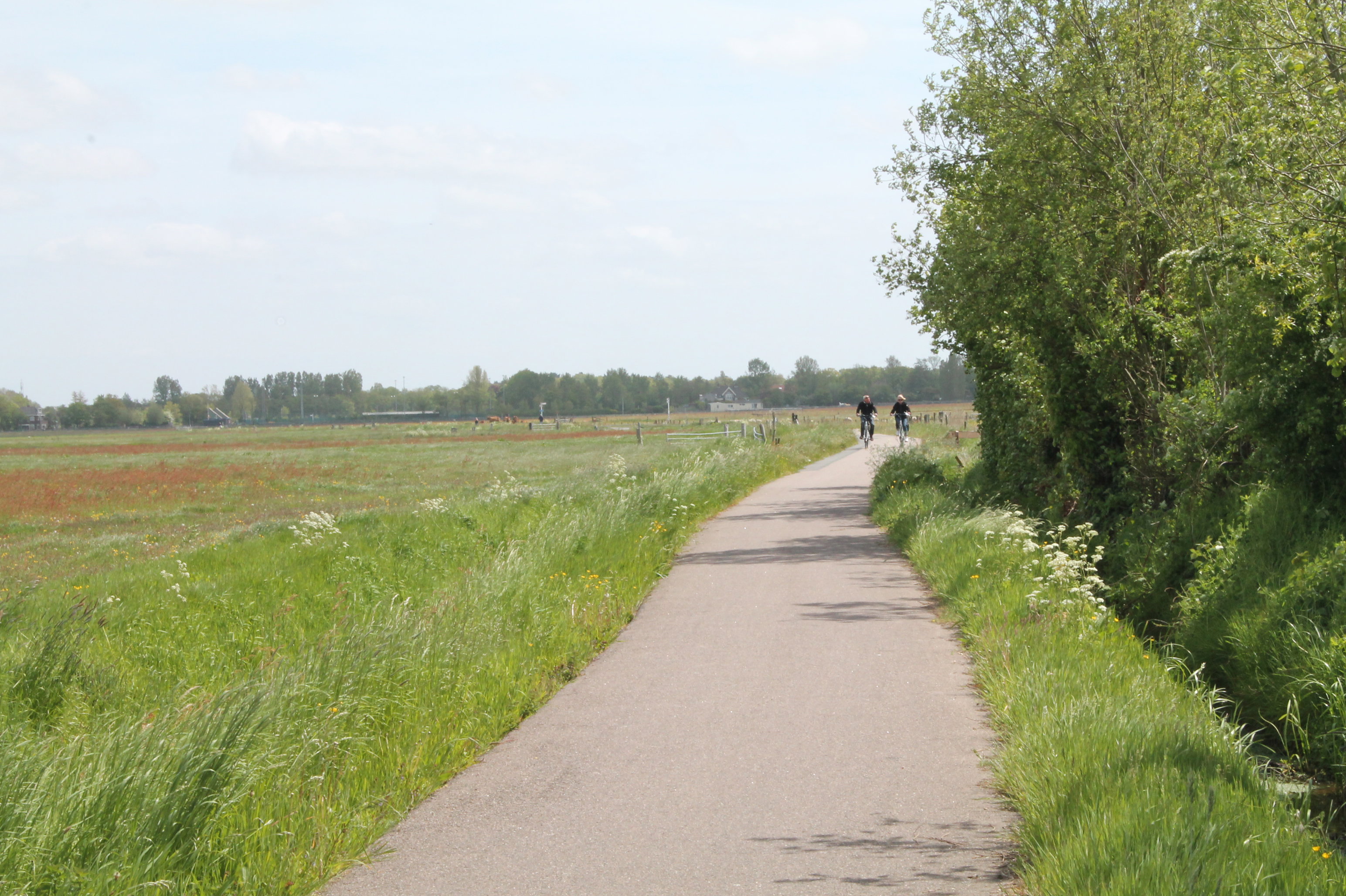 - image: 20
