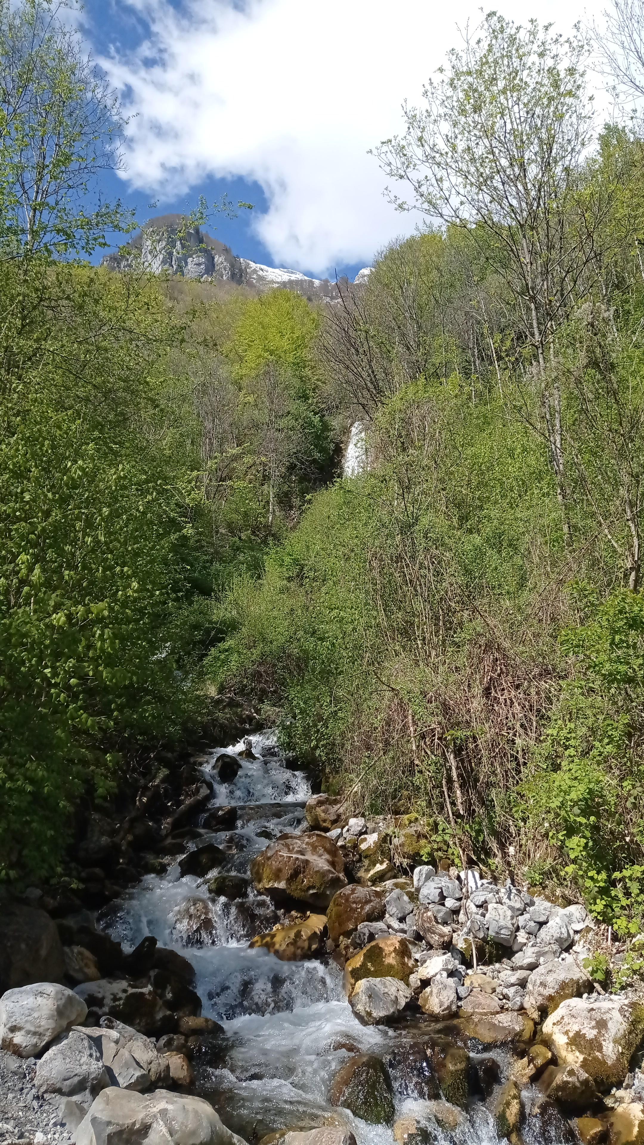 - image: 22