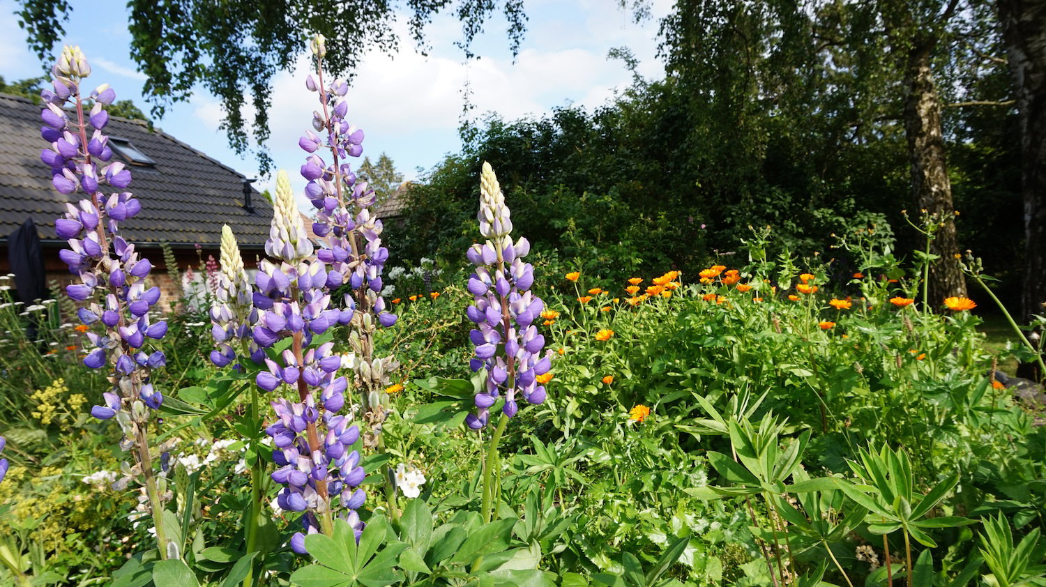 Naturhäuschen in Schmatzin