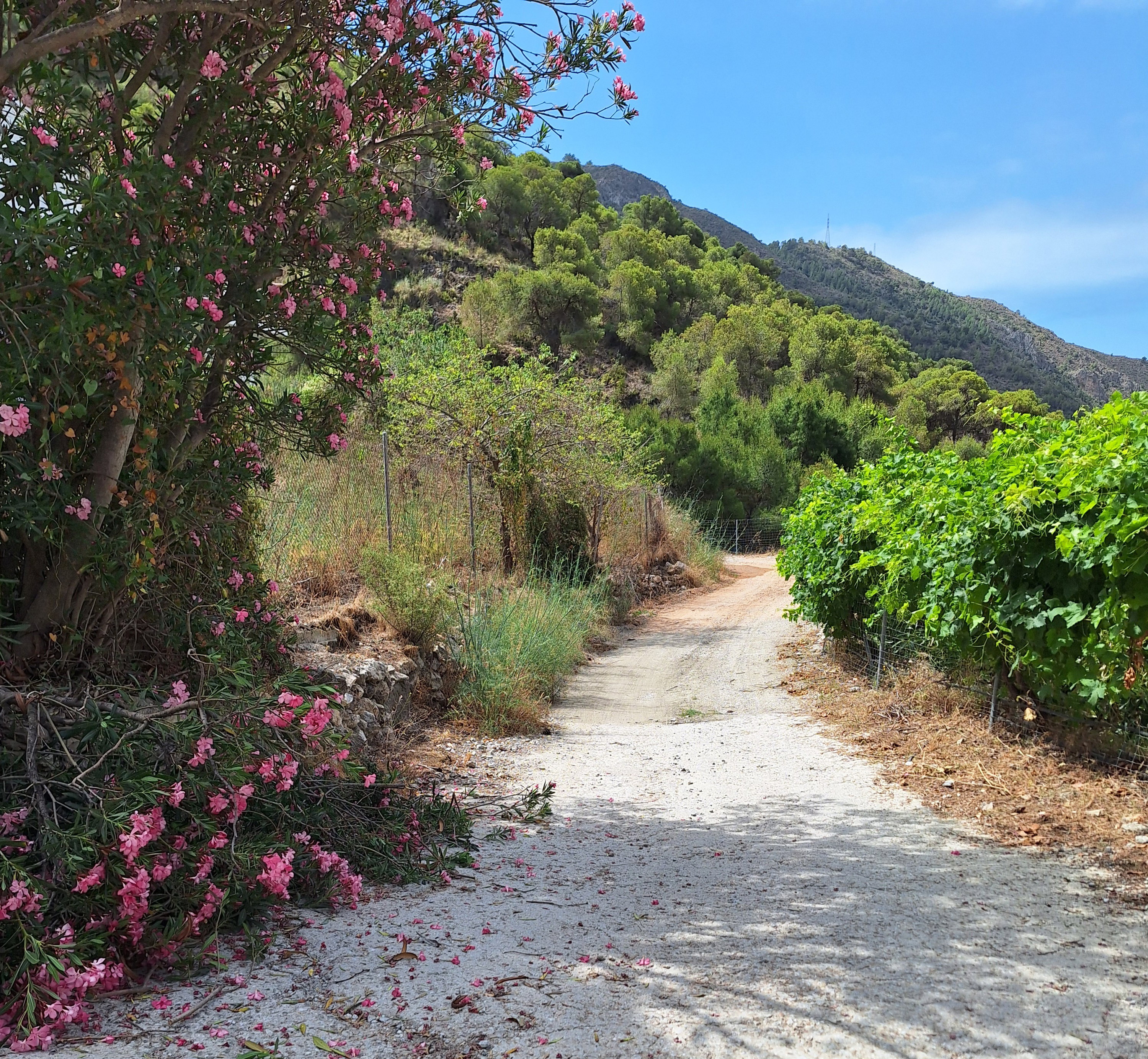 Nature house in Nerja, Rio de la Miel