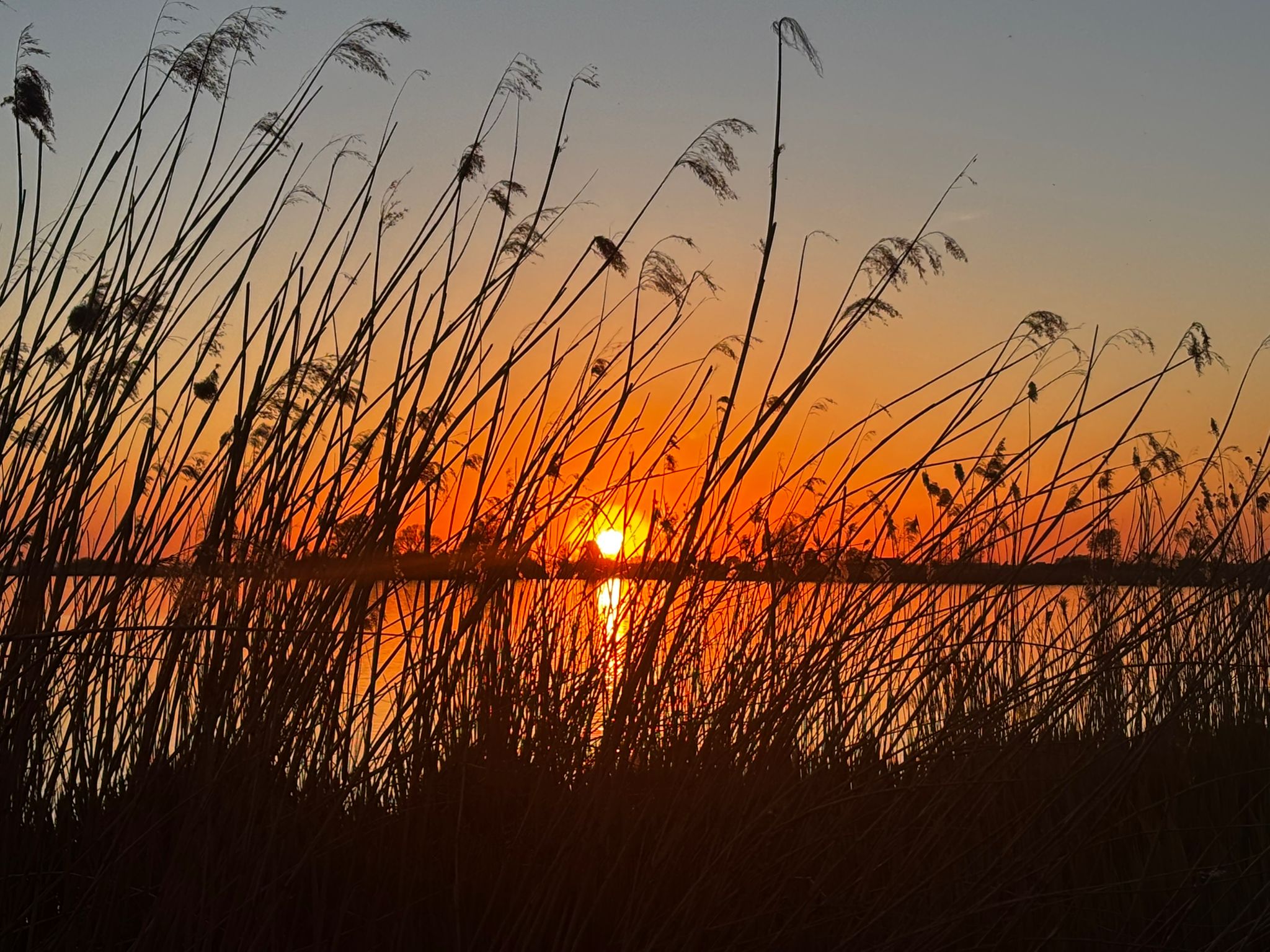 Natuurhuisje in Oudega