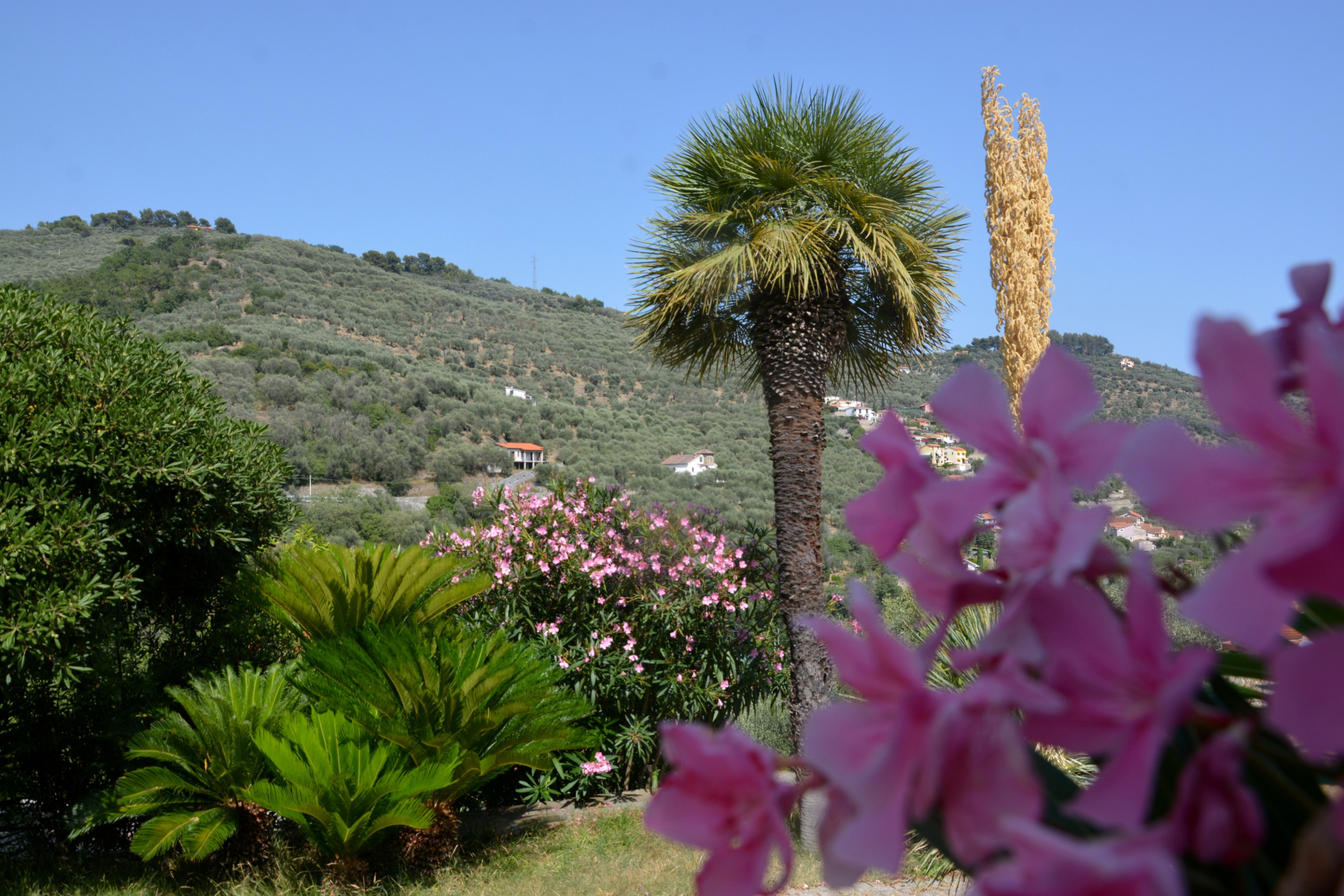 Casa nella natura a Diano Arentino