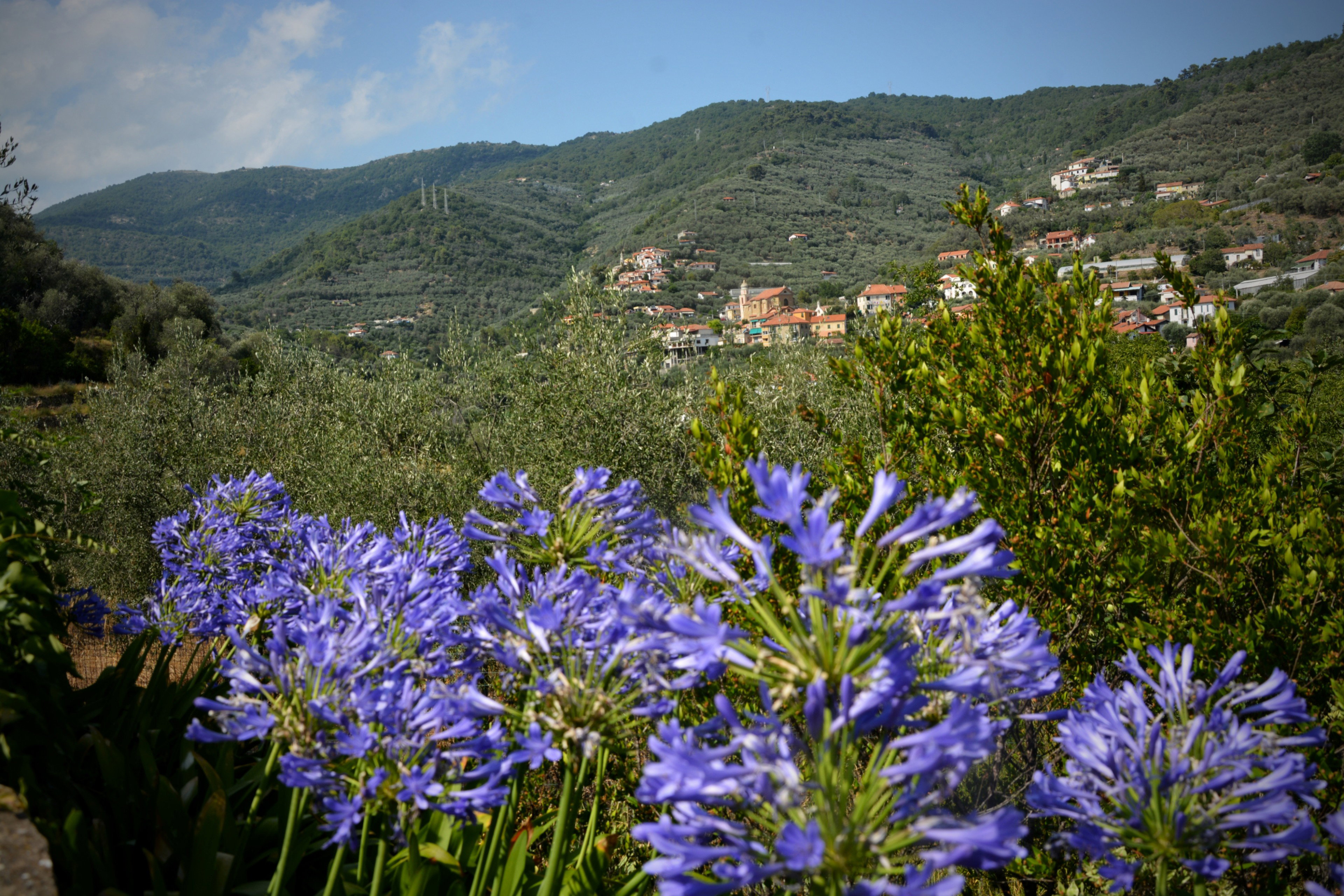 Casa nella natura a Diano Arentino