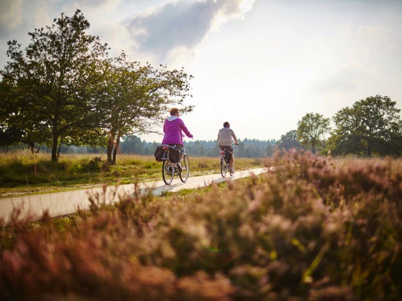 Natuurhuisje in Eersel