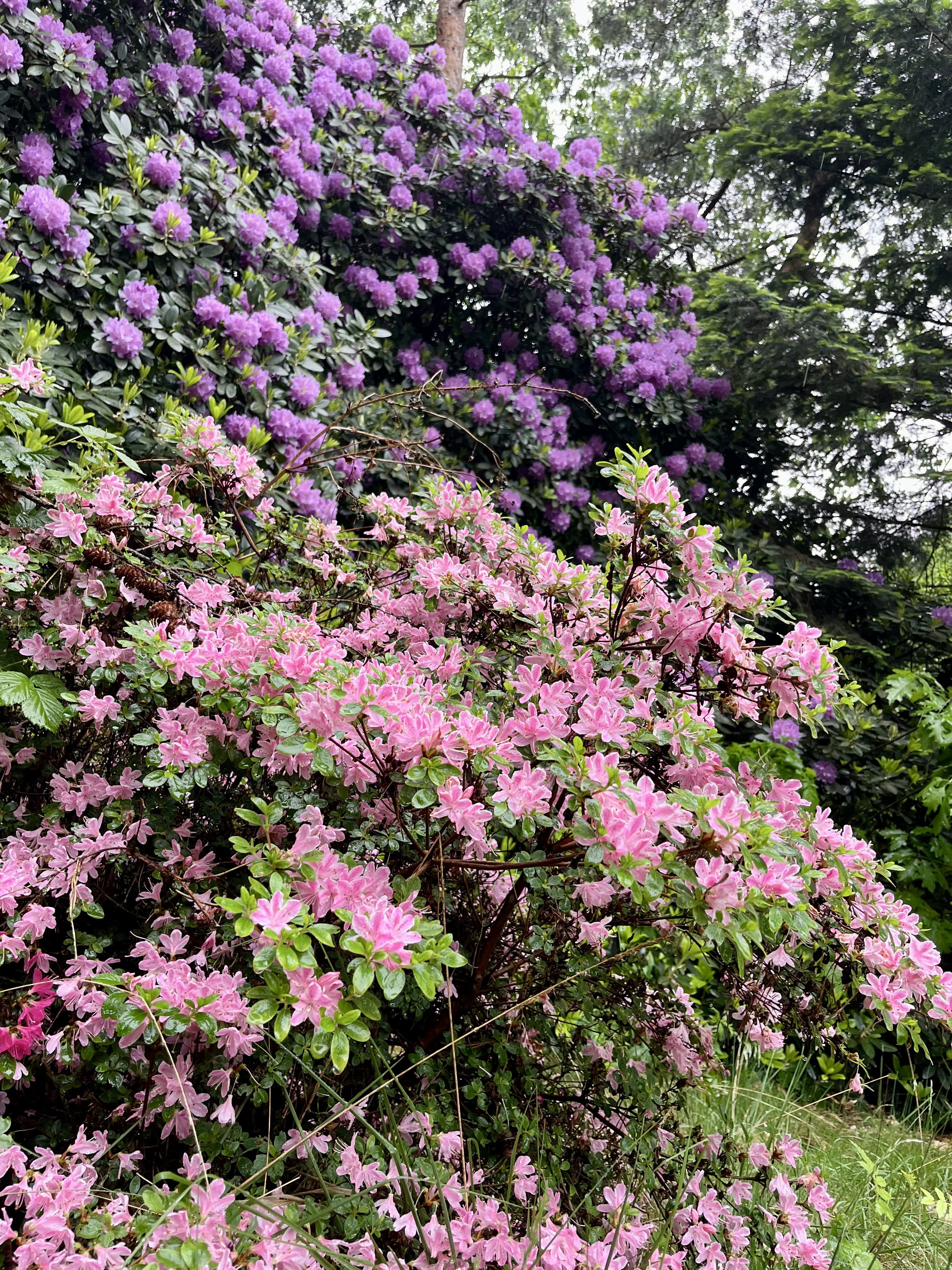 Natuurhuisje in Eersel
