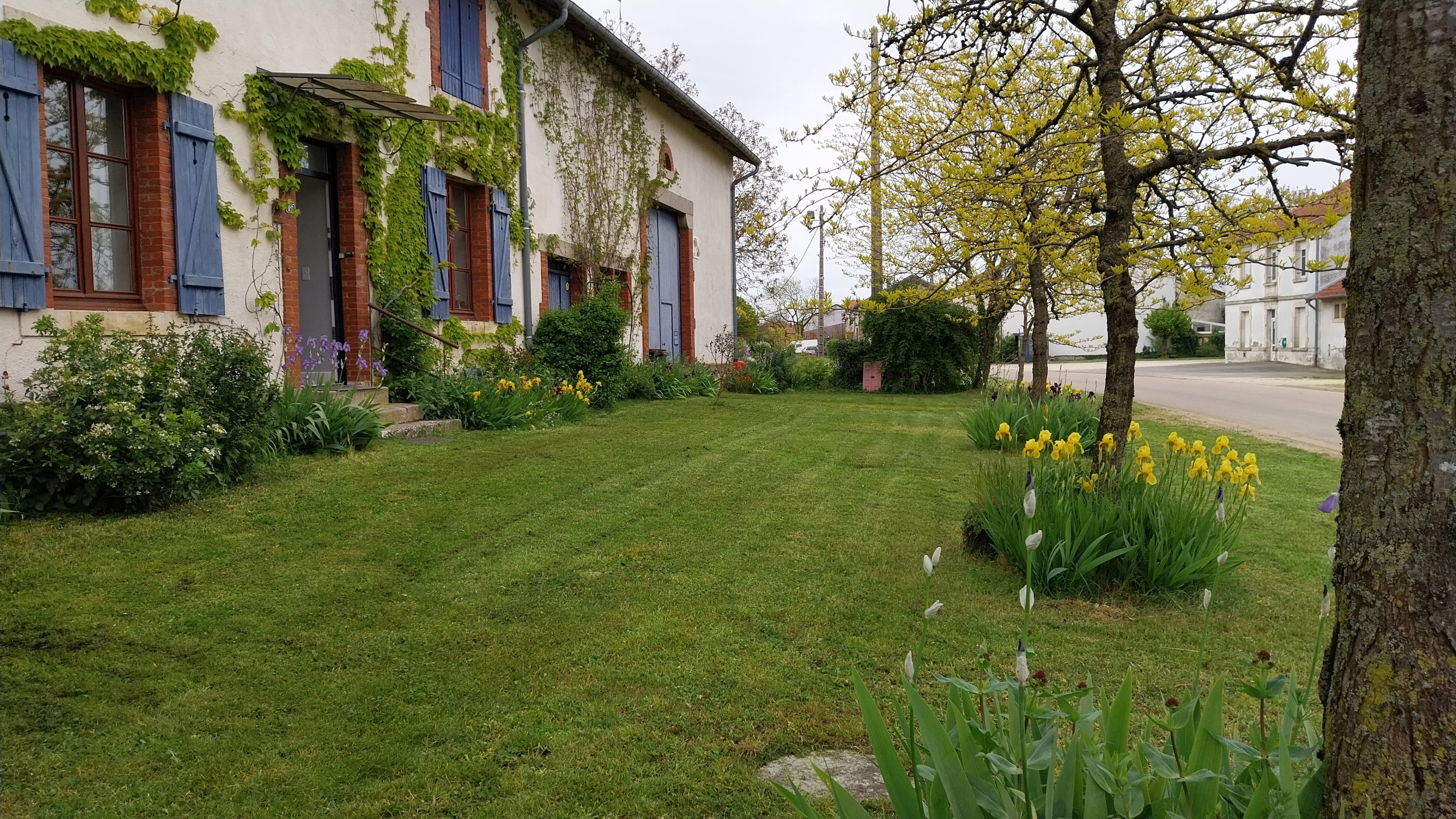Maison nature à SAULX LES CHAMPLON