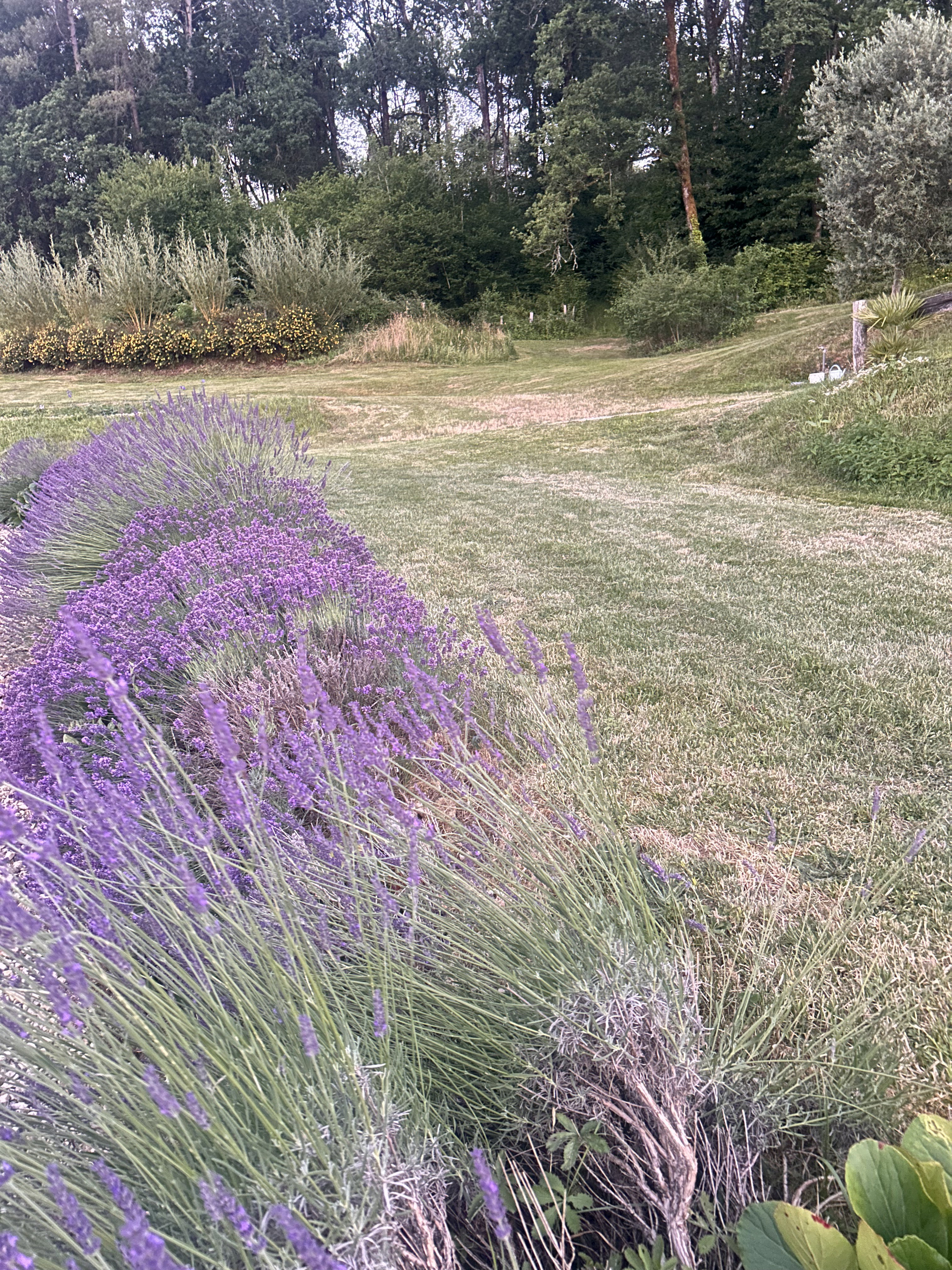 Natuurhuisje in Montrem