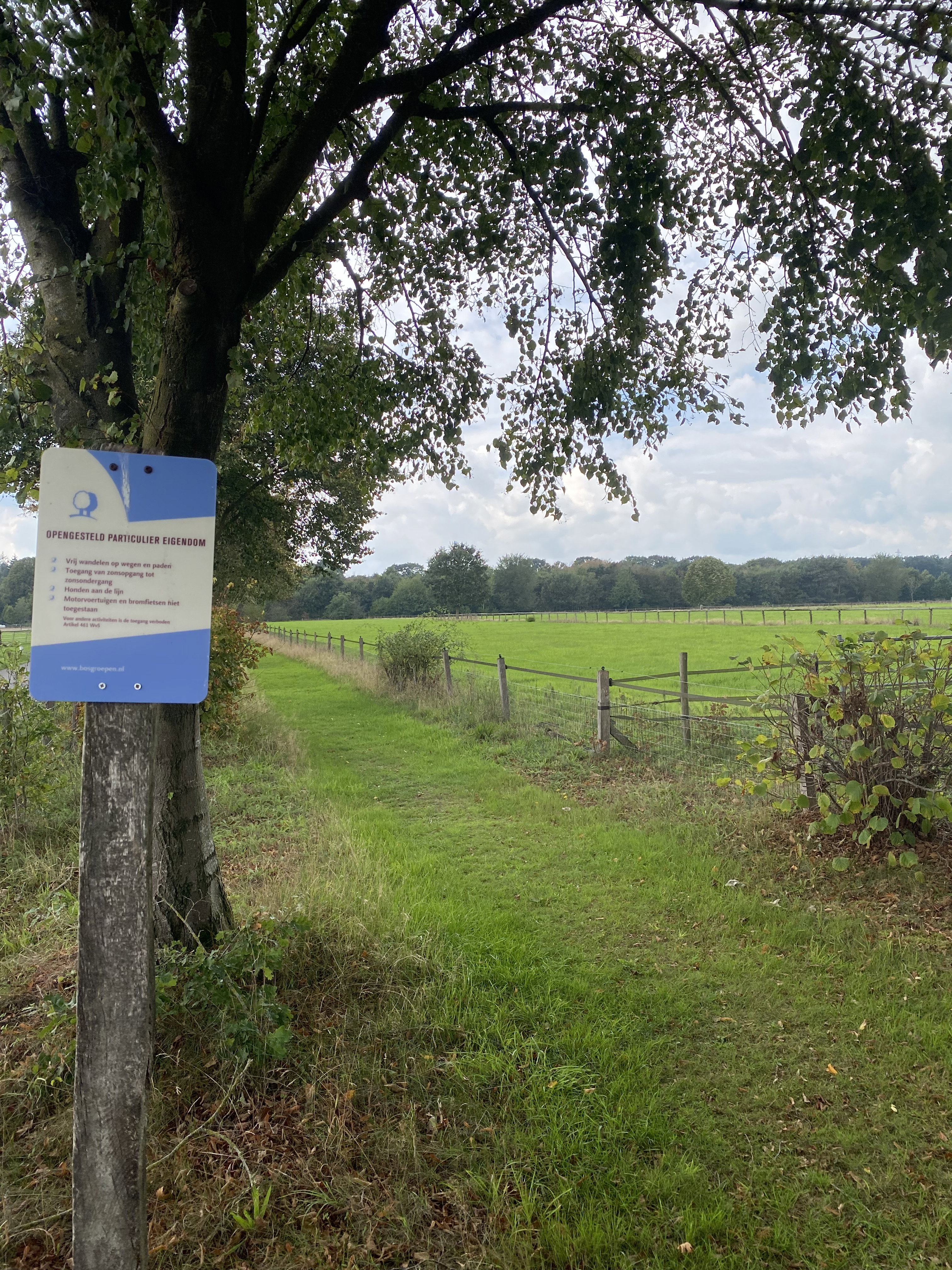 Nature house in Ede