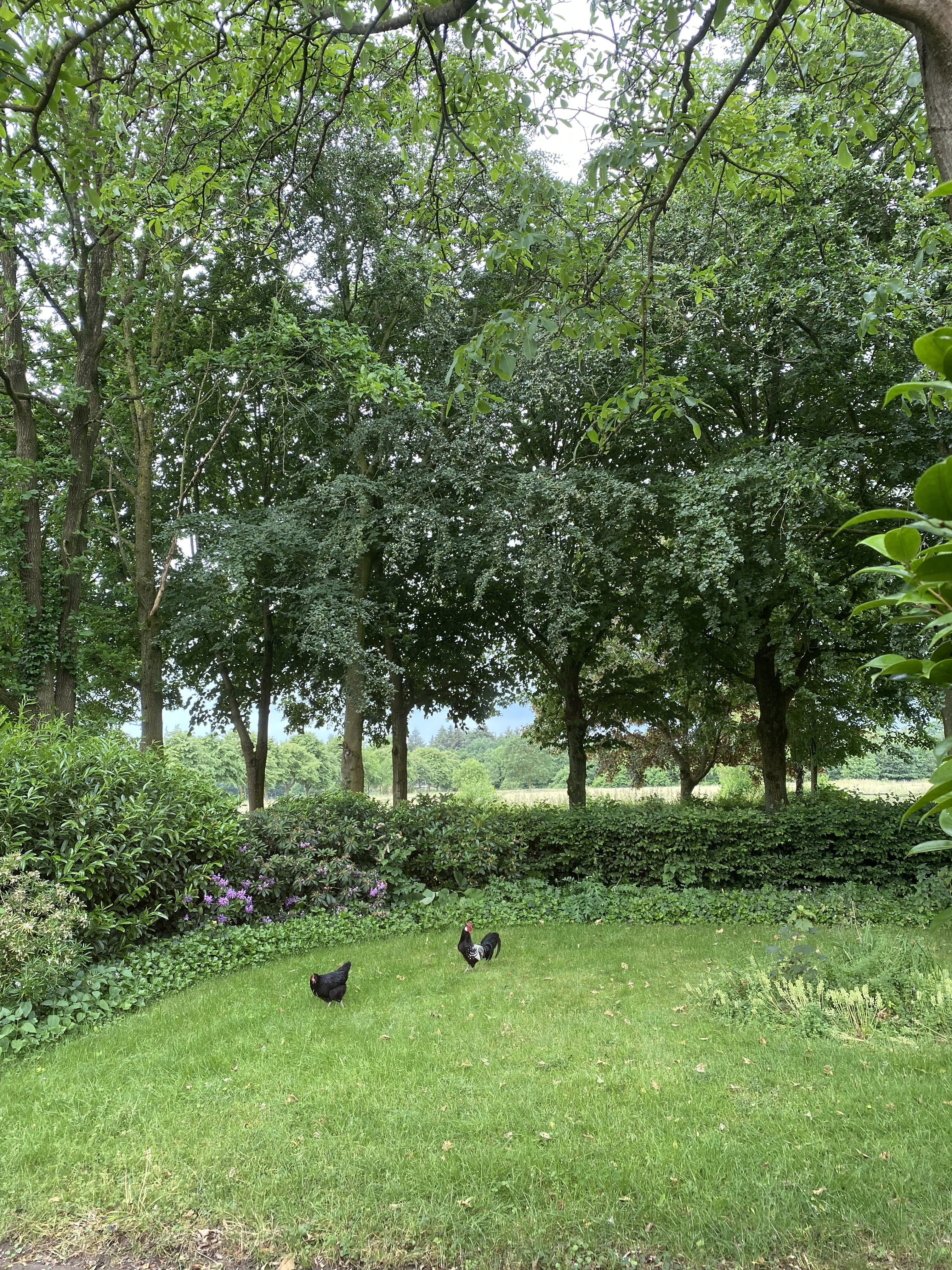 Natuurhuisje in Ede