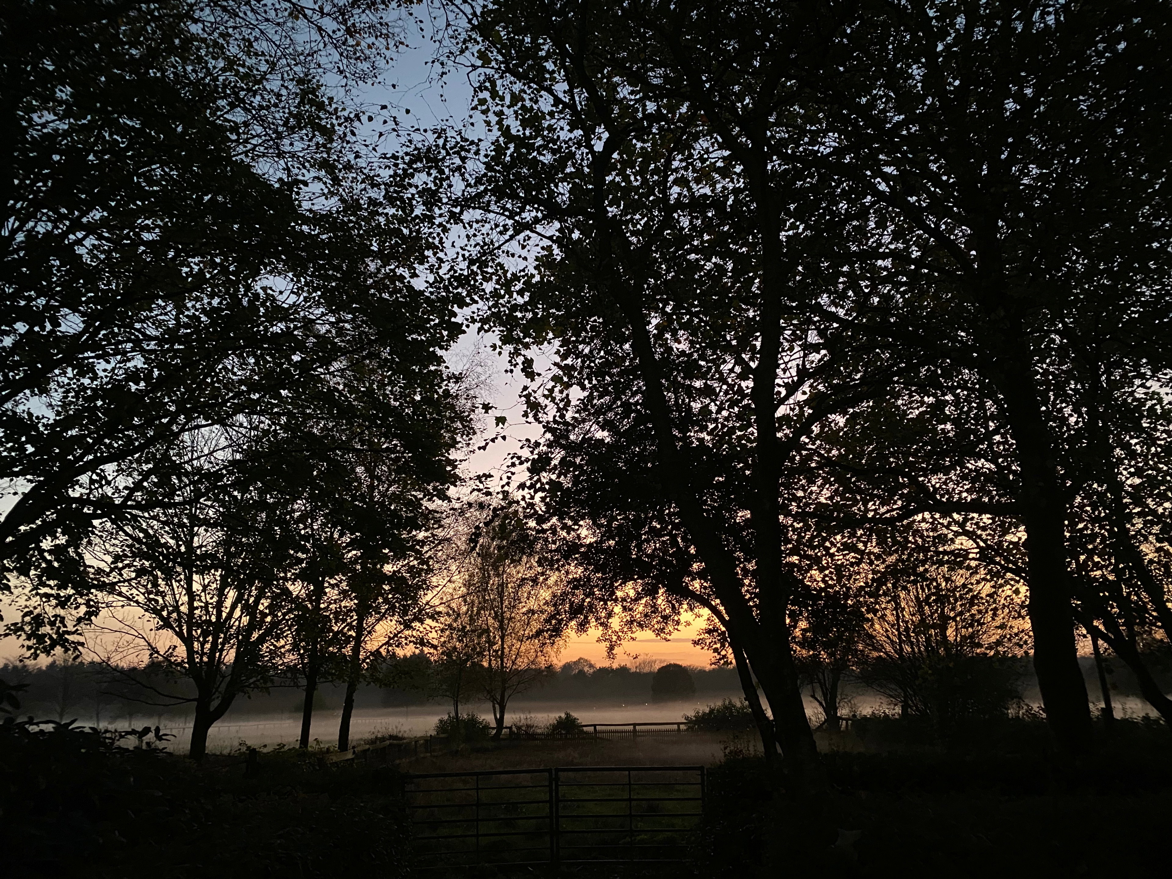 Natuurhuisje in Ede