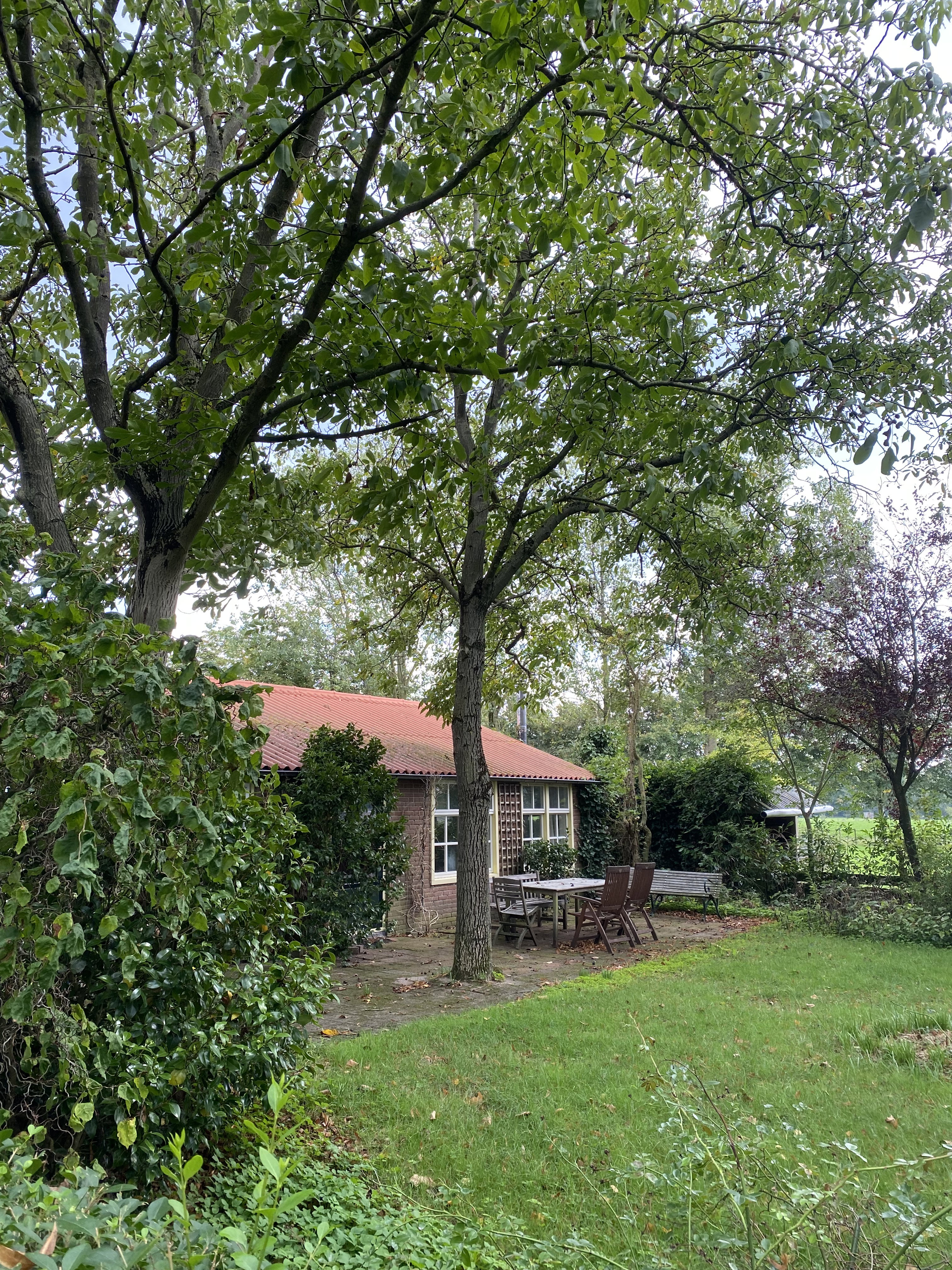 Nature house in Ede