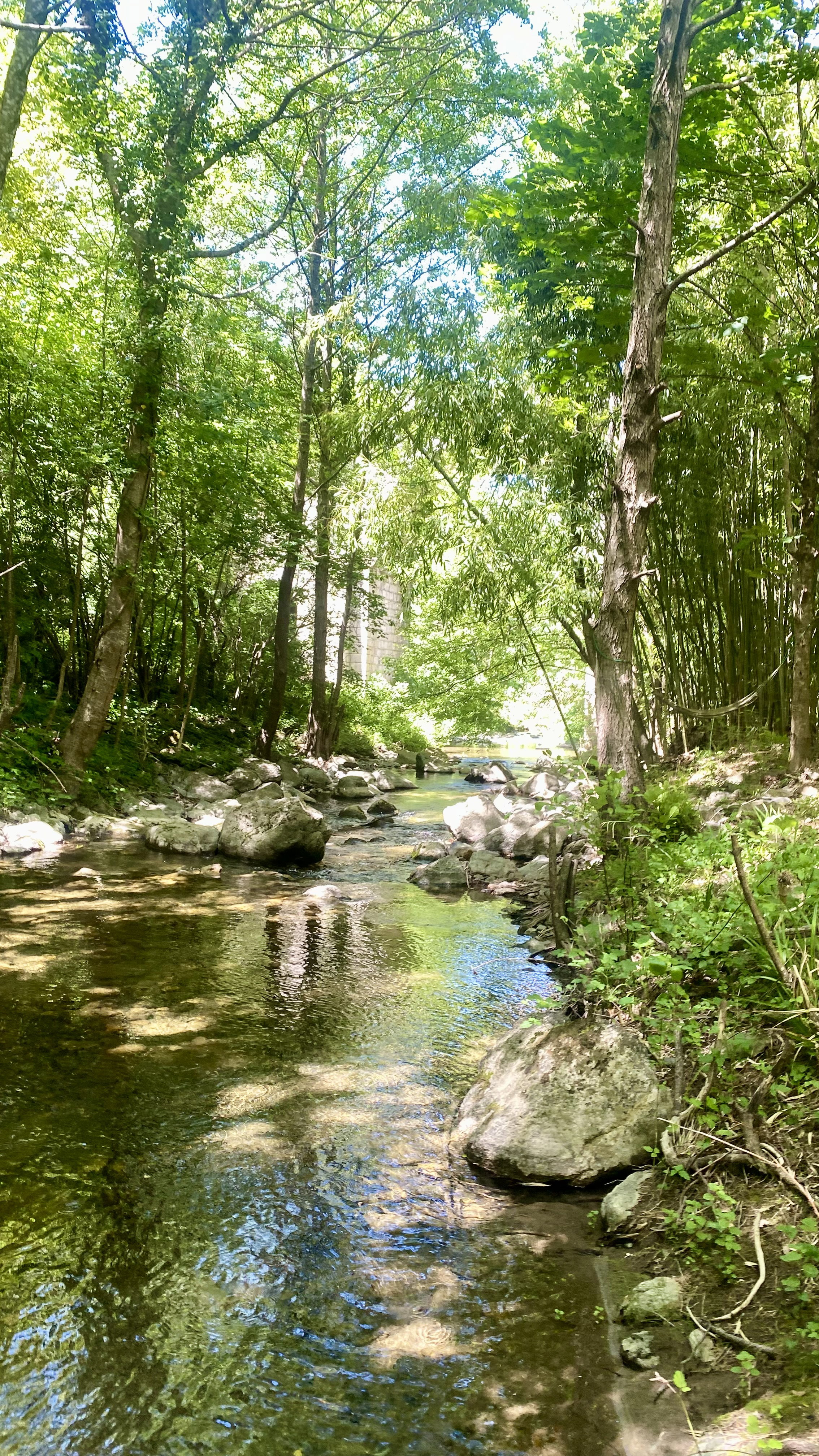 - image: 7