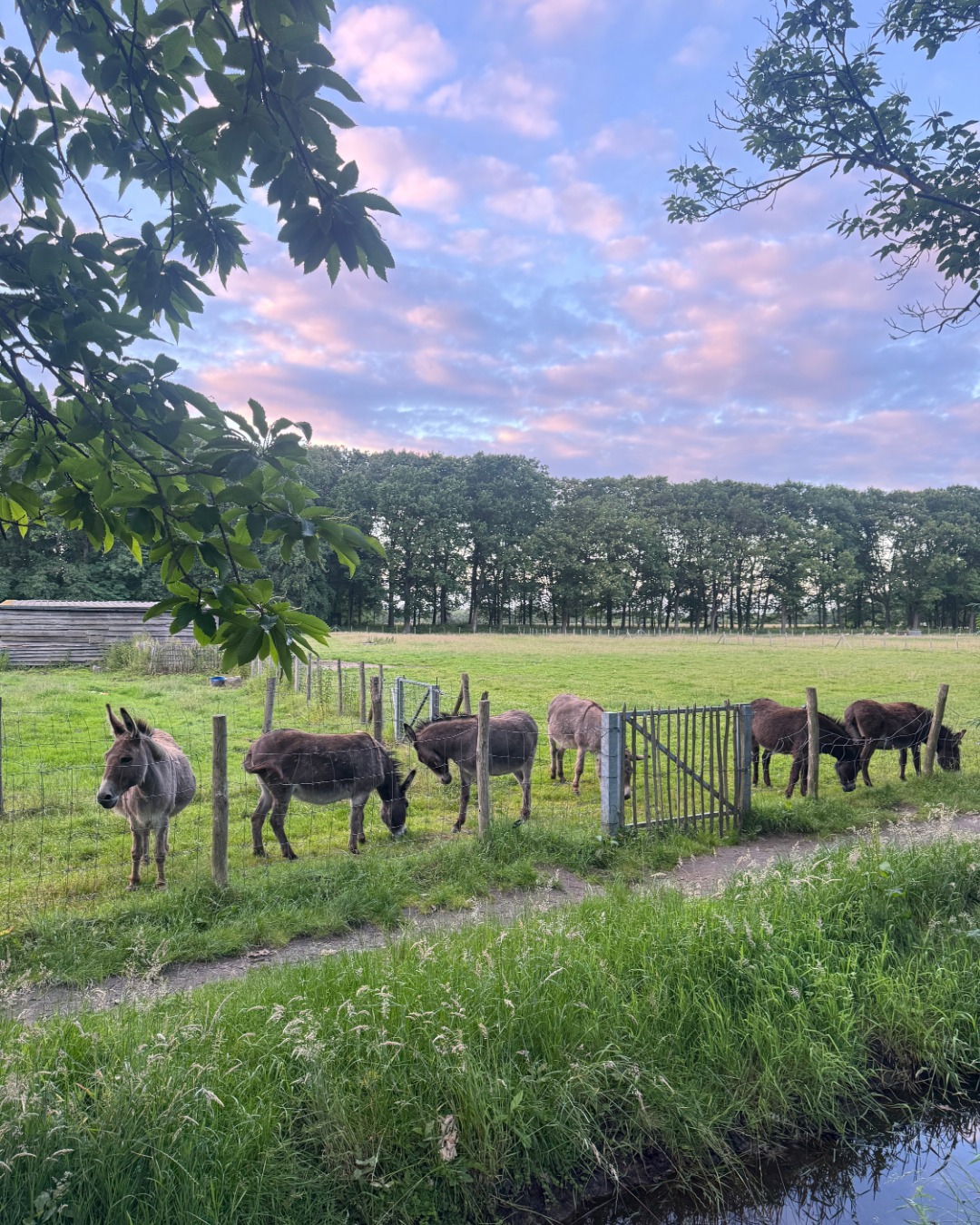 Natuurhuisje in Hasselt