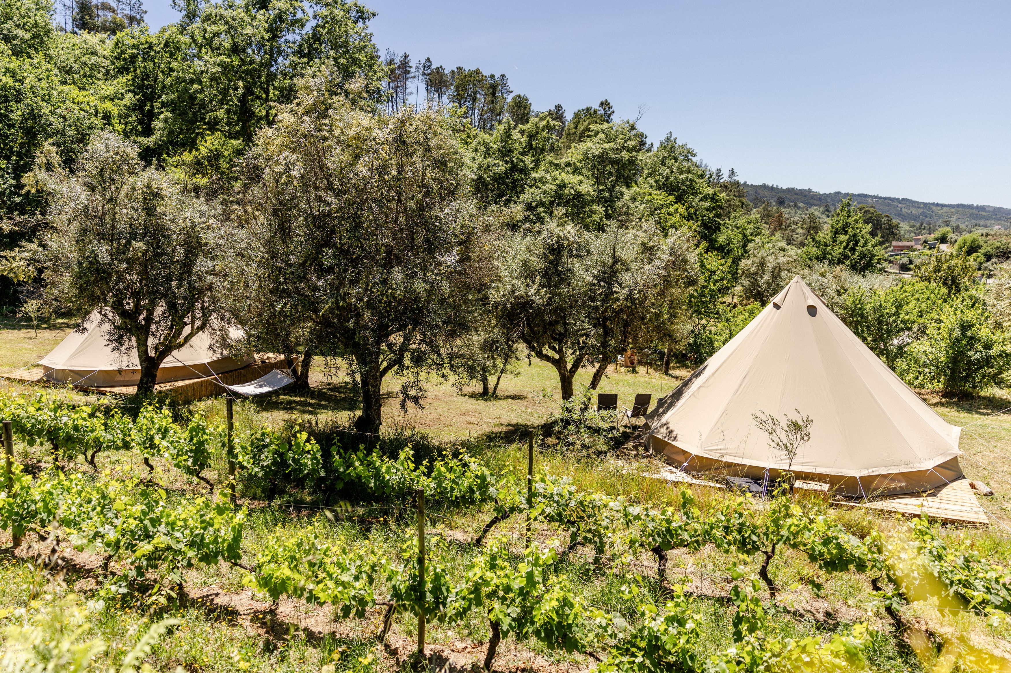 - image: 11