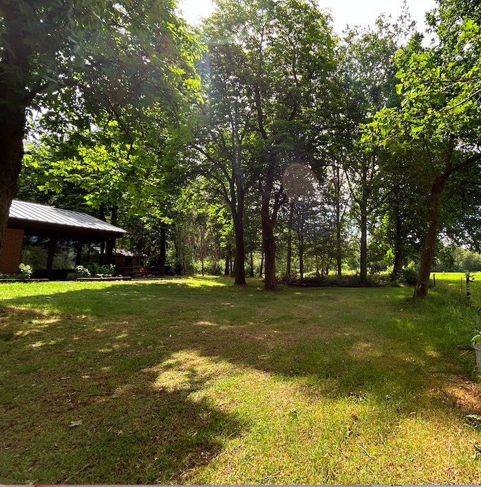 Natuurhuisje in Dalmsholte