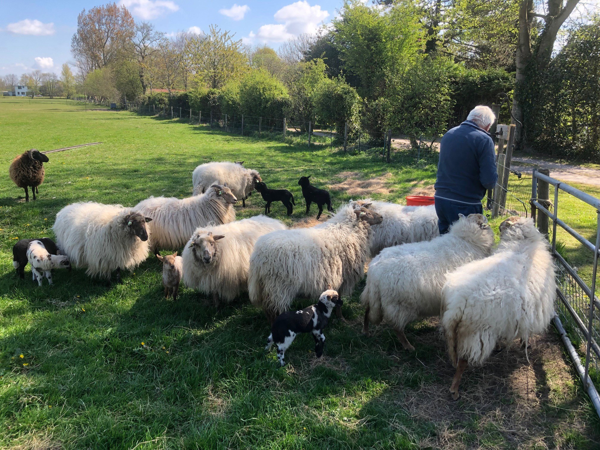 Natuurhuisje in Groet