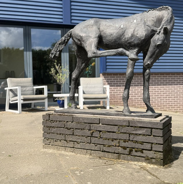 Natuurhuisje in Vorden