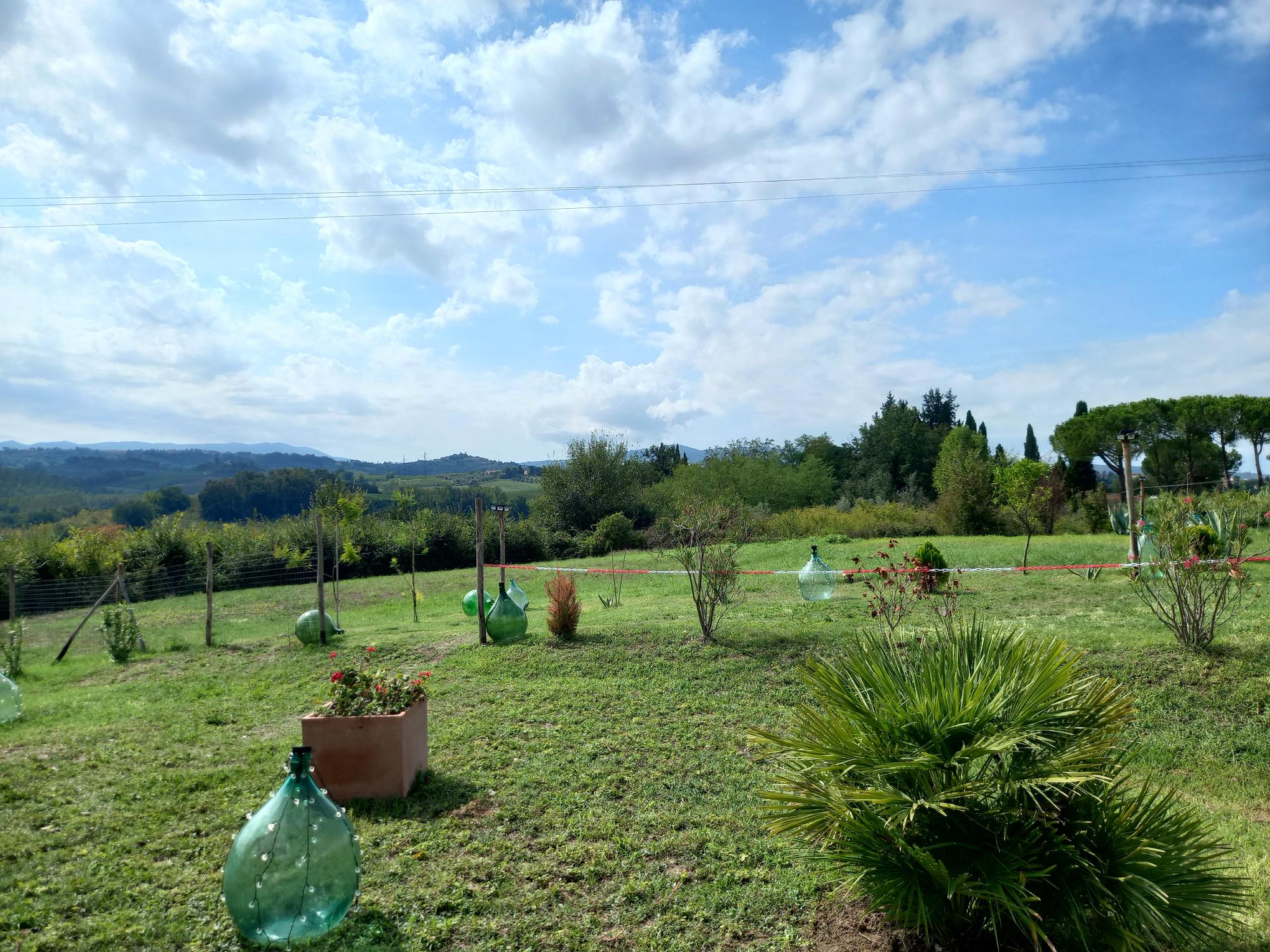 - image: 23