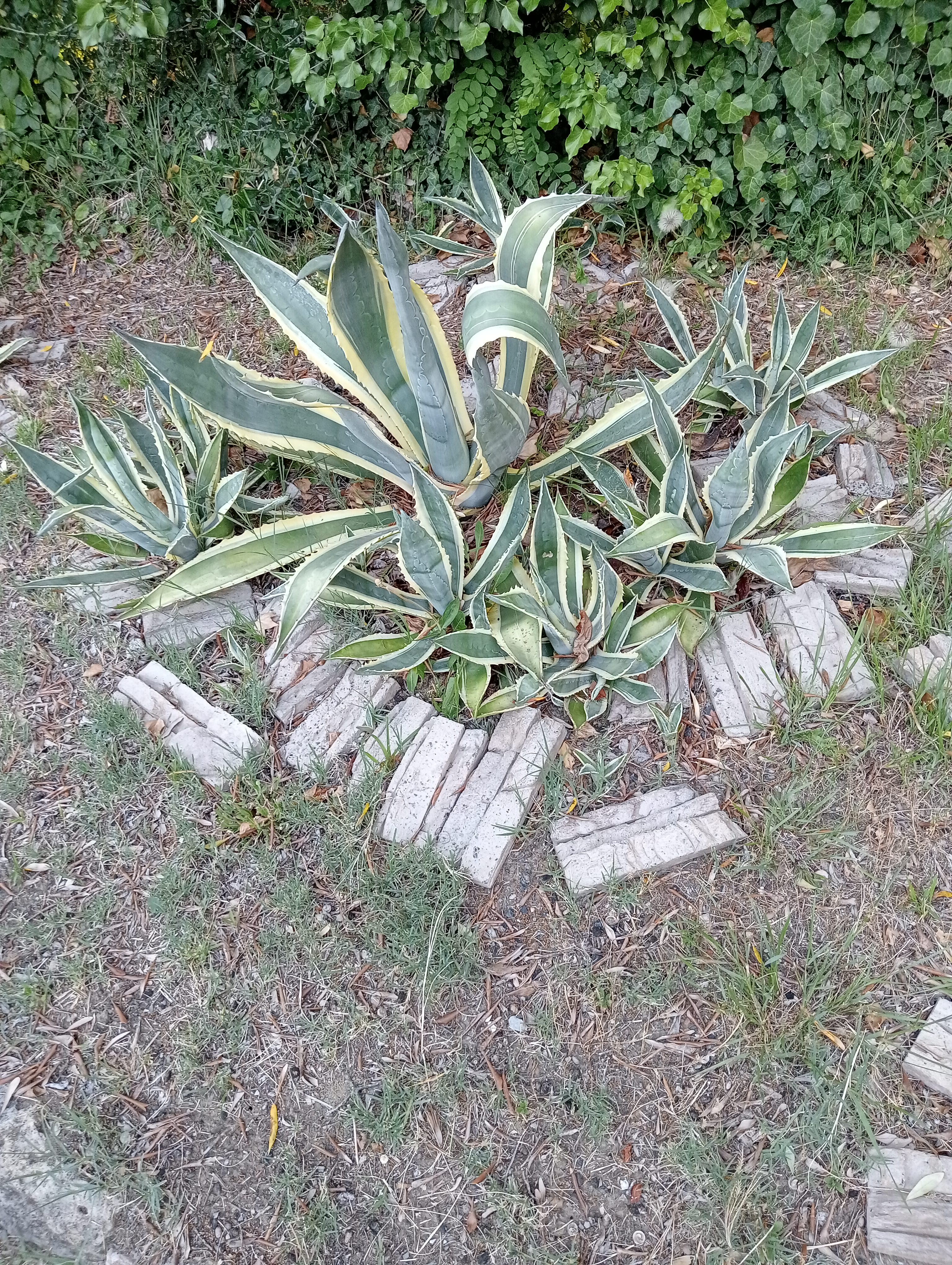 Natuurhuisje in Capannoli