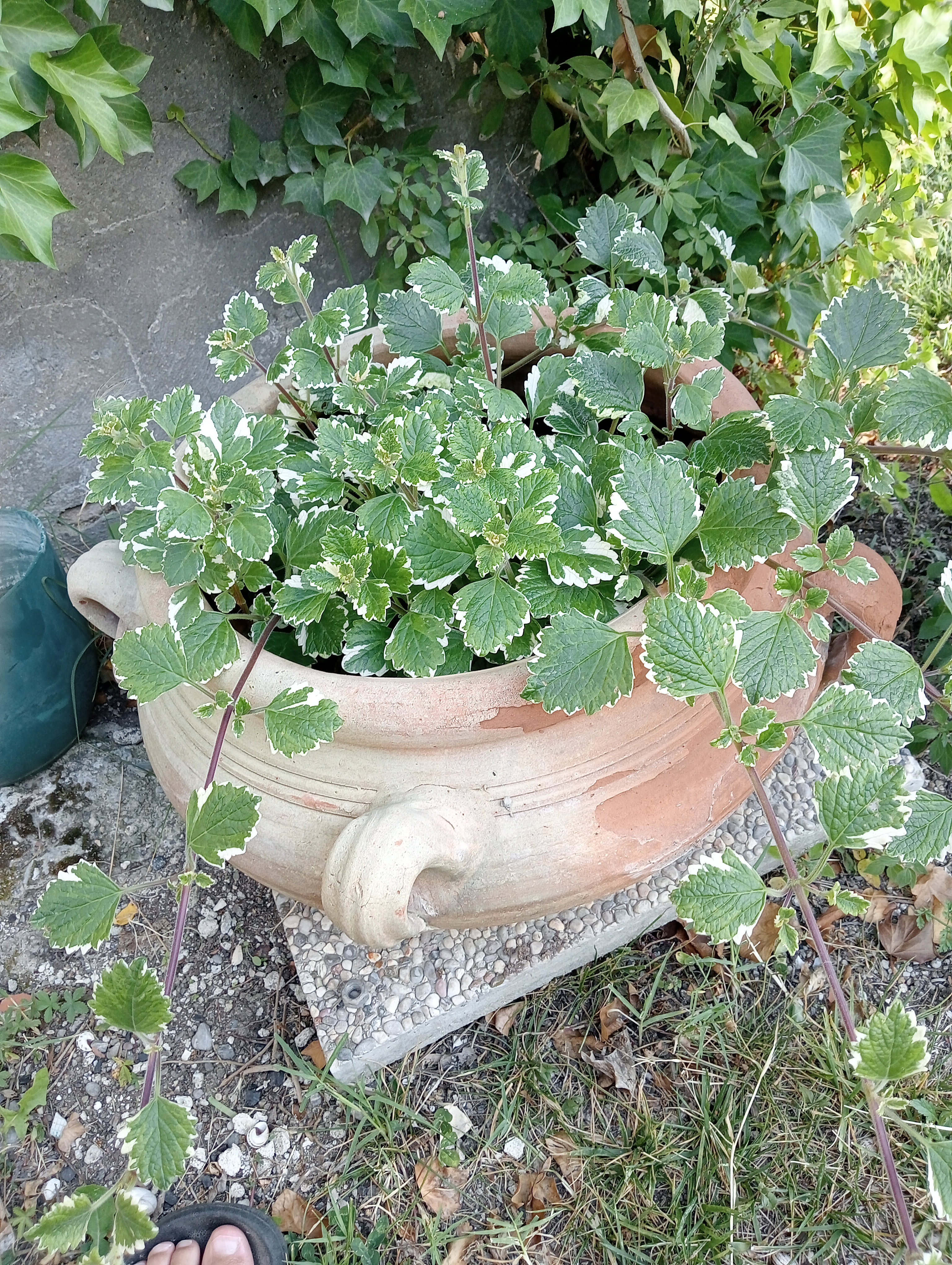 Natuurhuisje in Capannoli