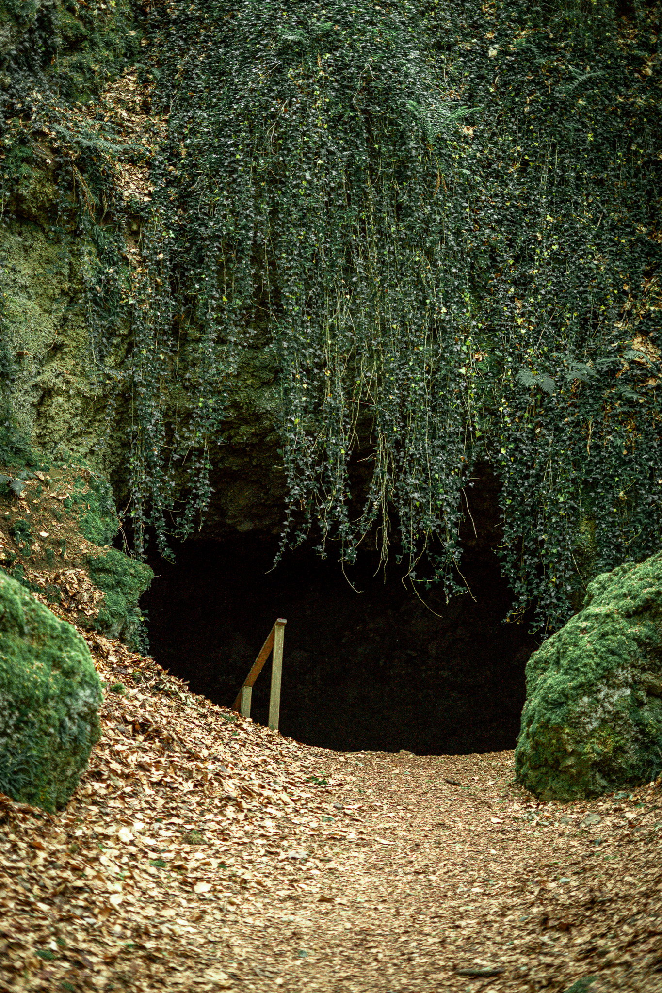 - image: 15