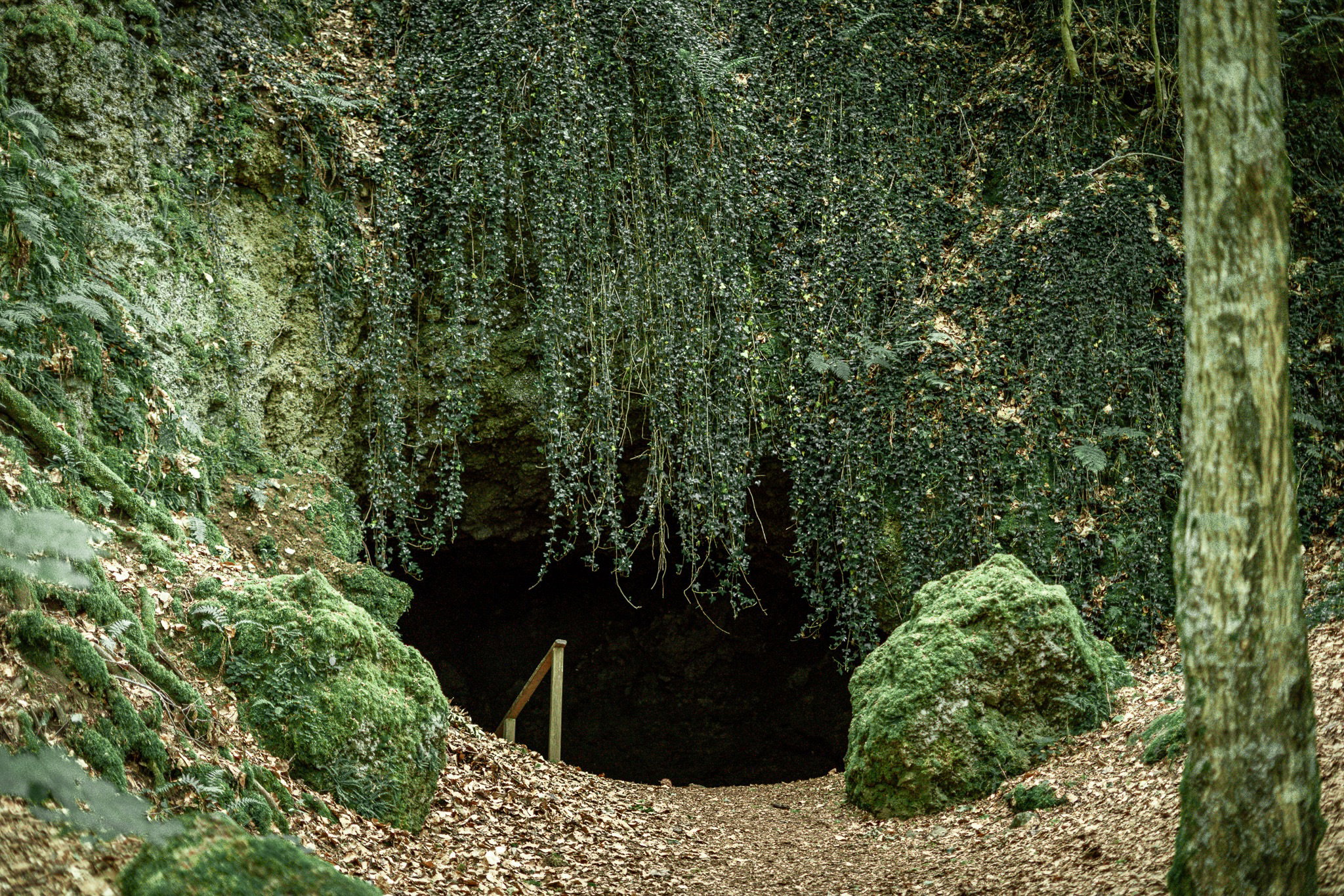 - image: 16