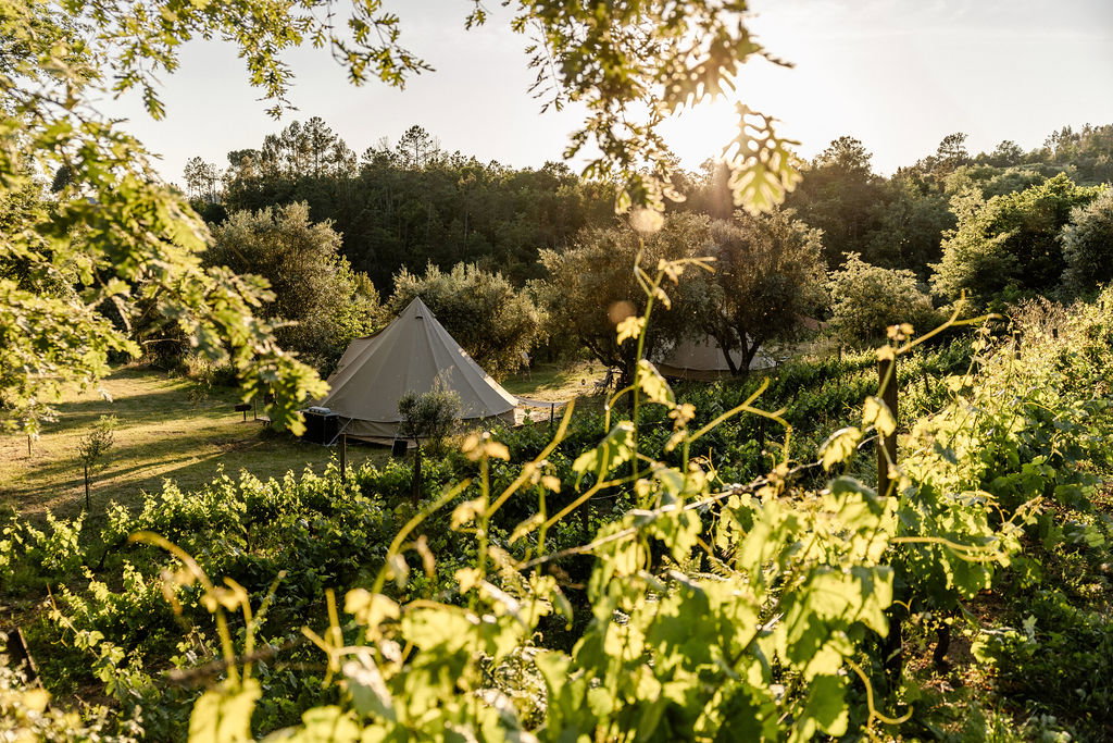 Natuurhuisje in Penalva do Castelo