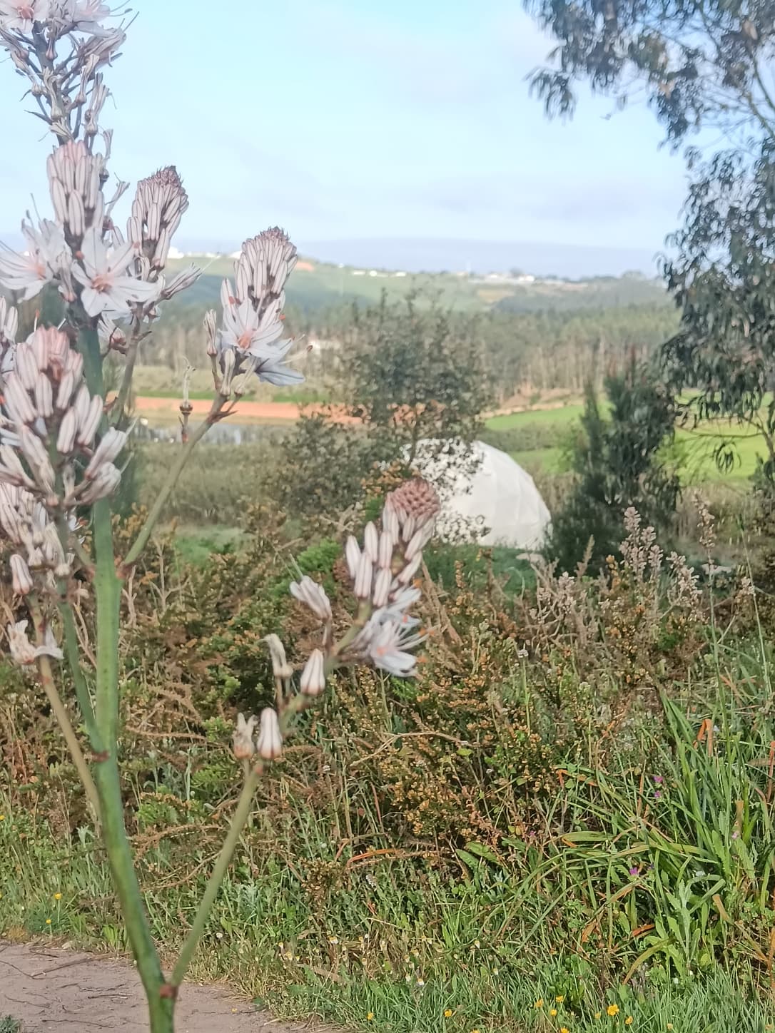Casa nella natura a a Dos Conhados