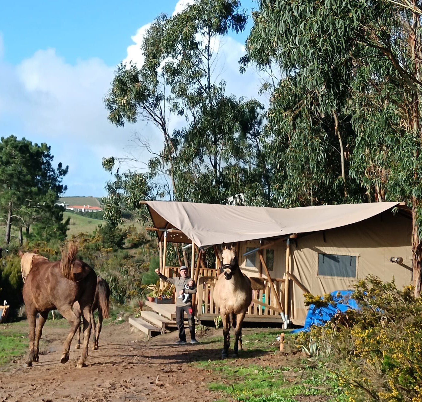 Casa nella natura a a Dos Conhados