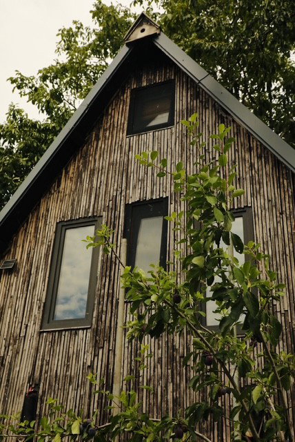 Nature house in Appeltern
