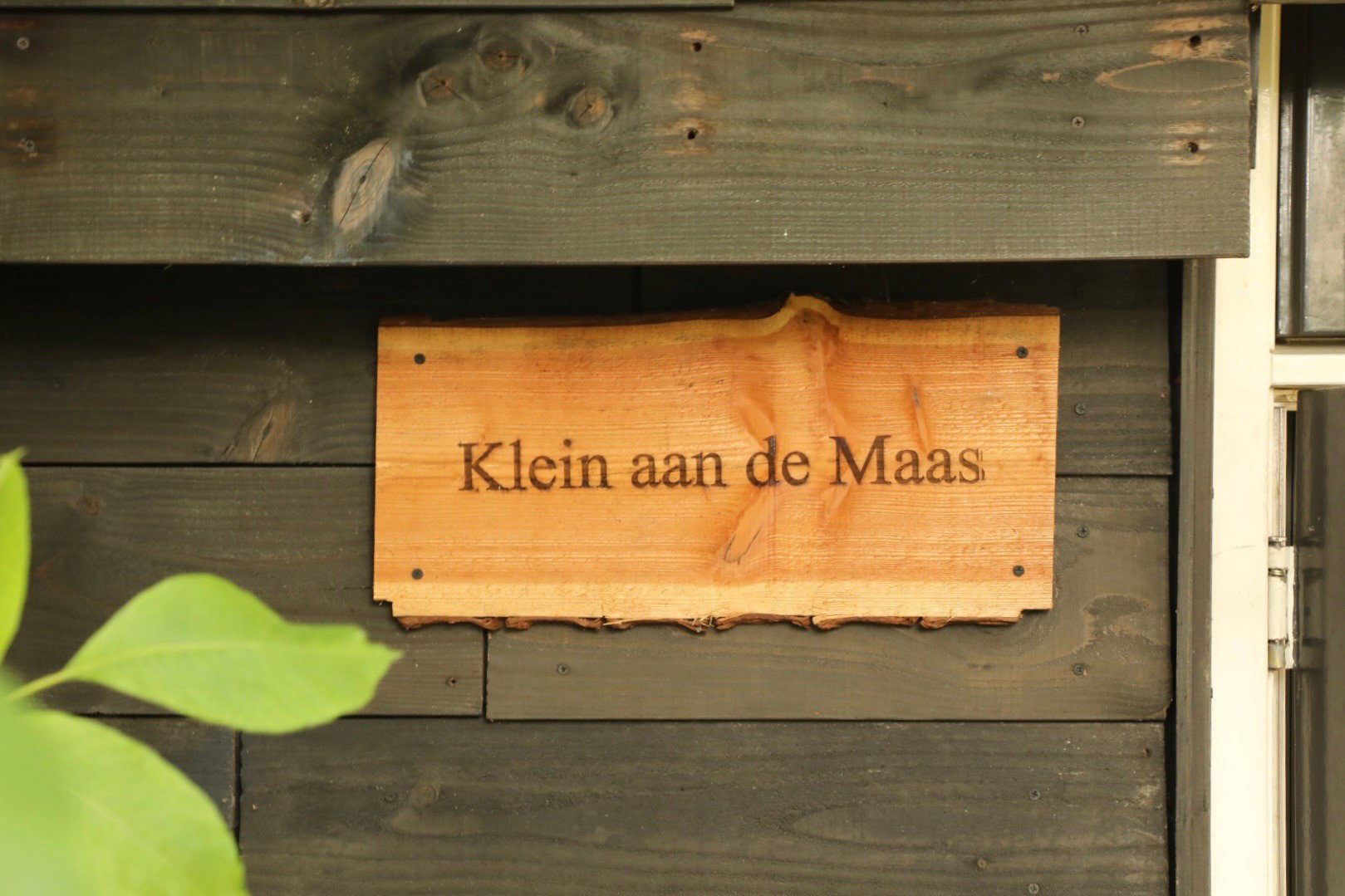 - image: 24