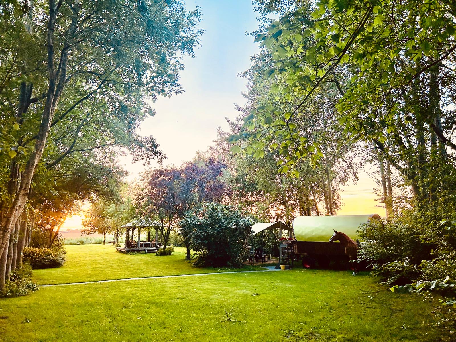 Natuurhuisje in Lageland