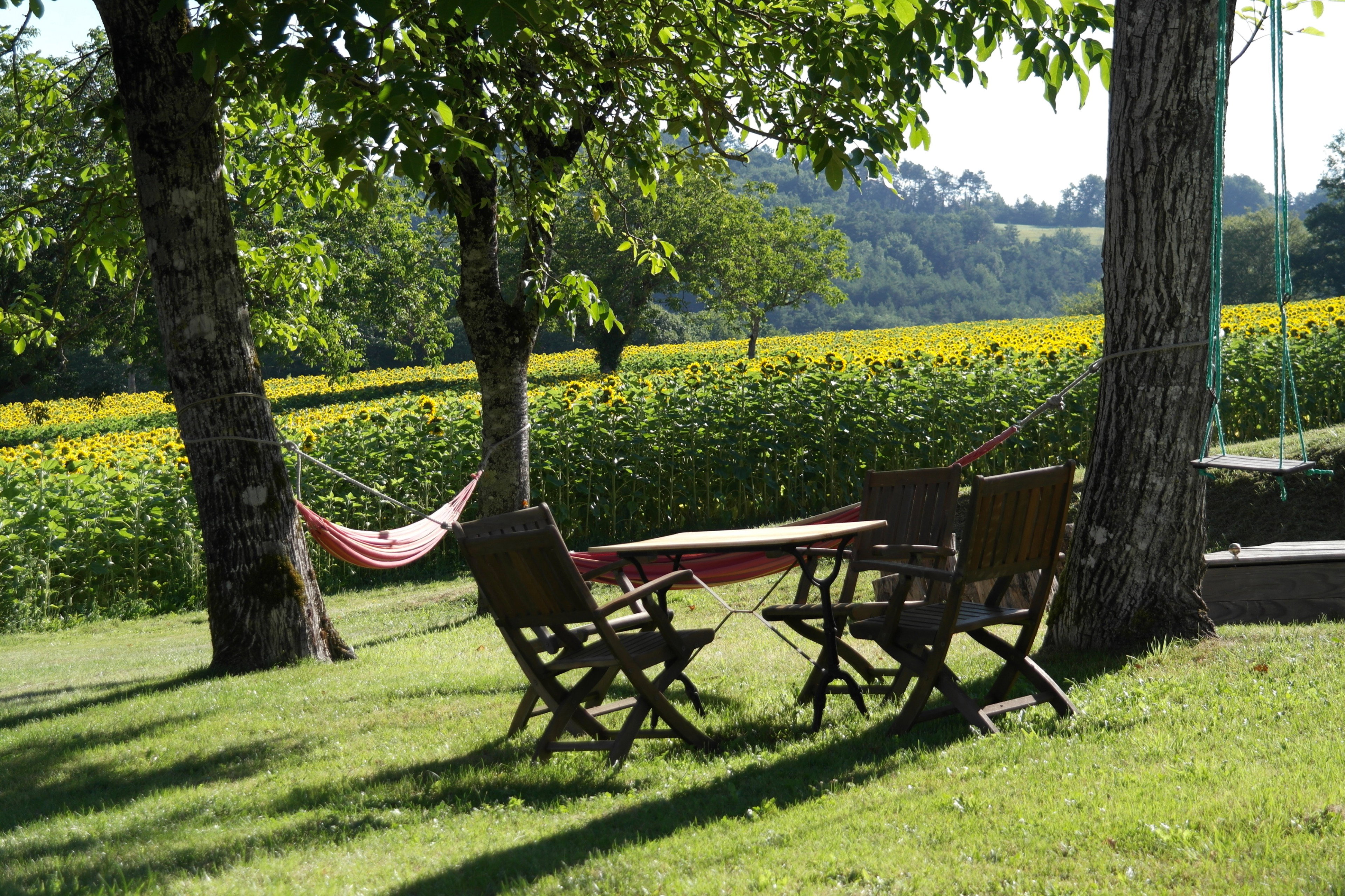 Natuurhuisje in Montignac