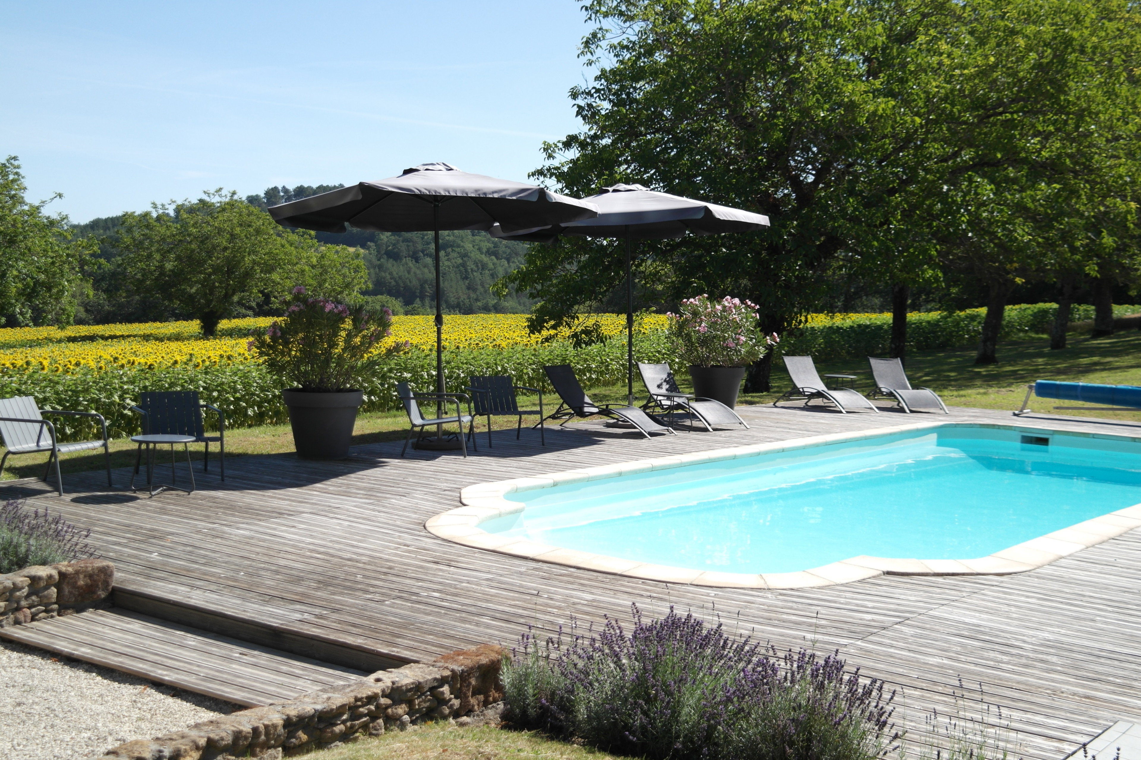 Natuurhuisje in Montignac