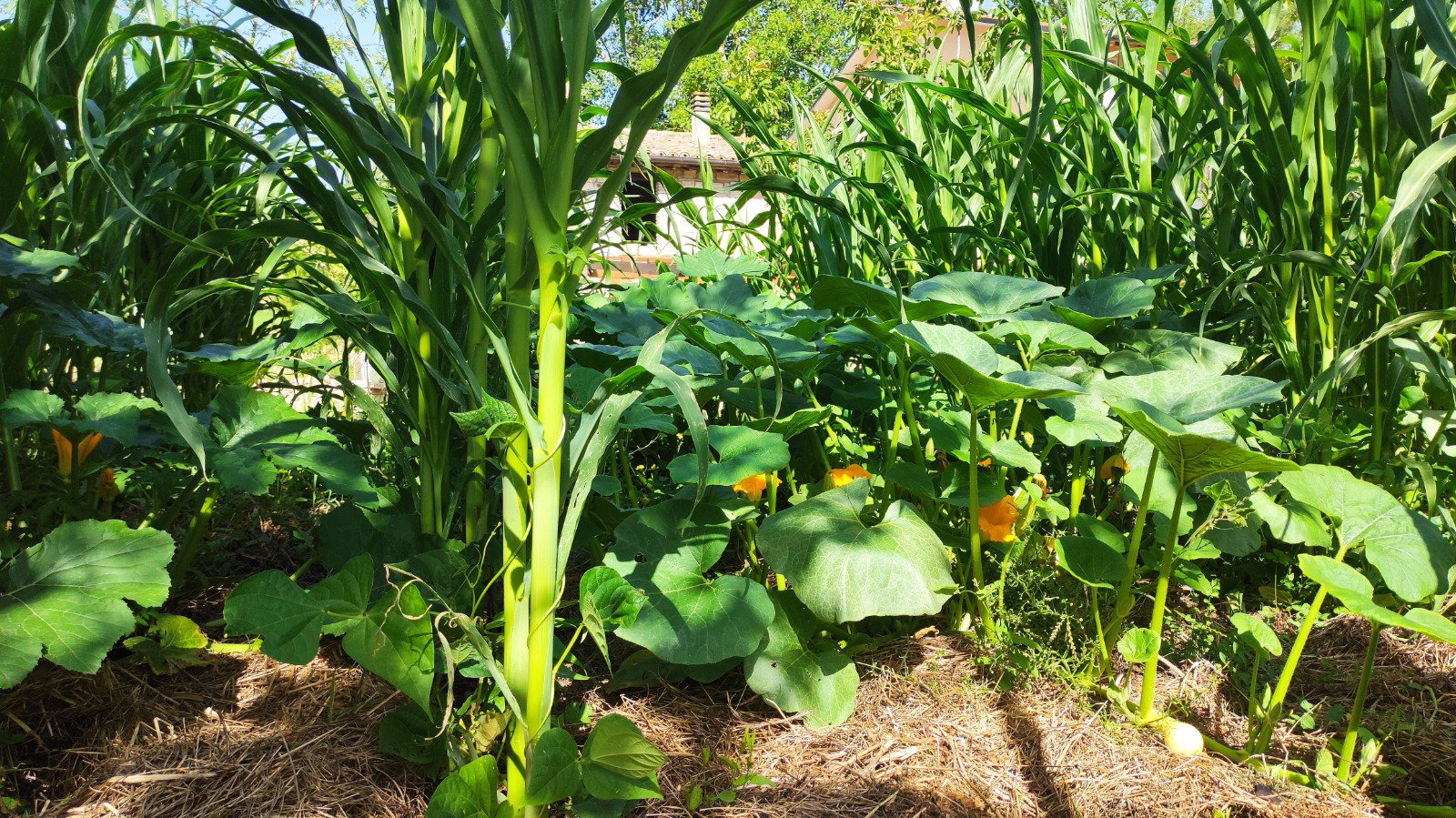 Maison nature à Cagli