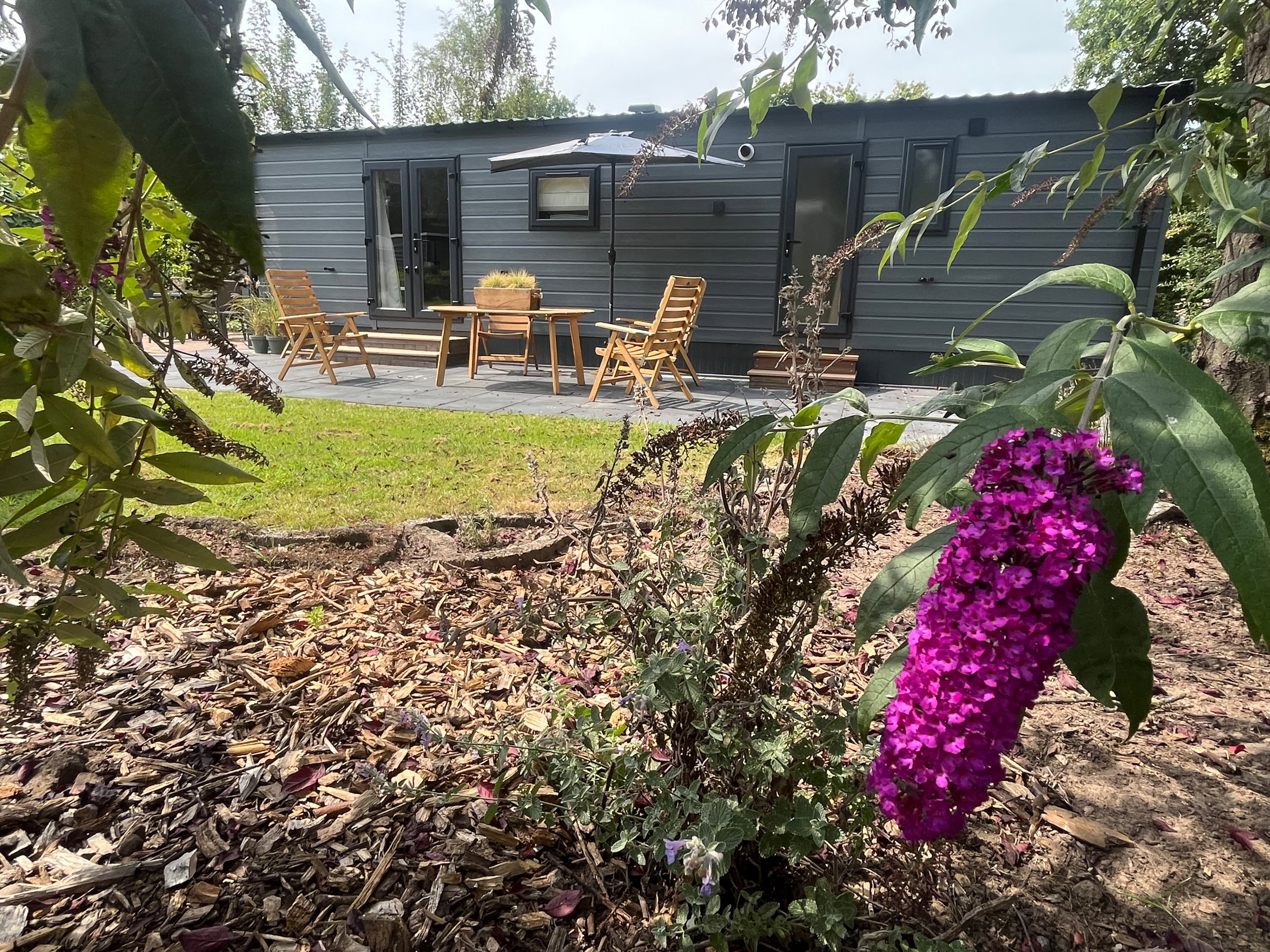 Nature house in Lattrop