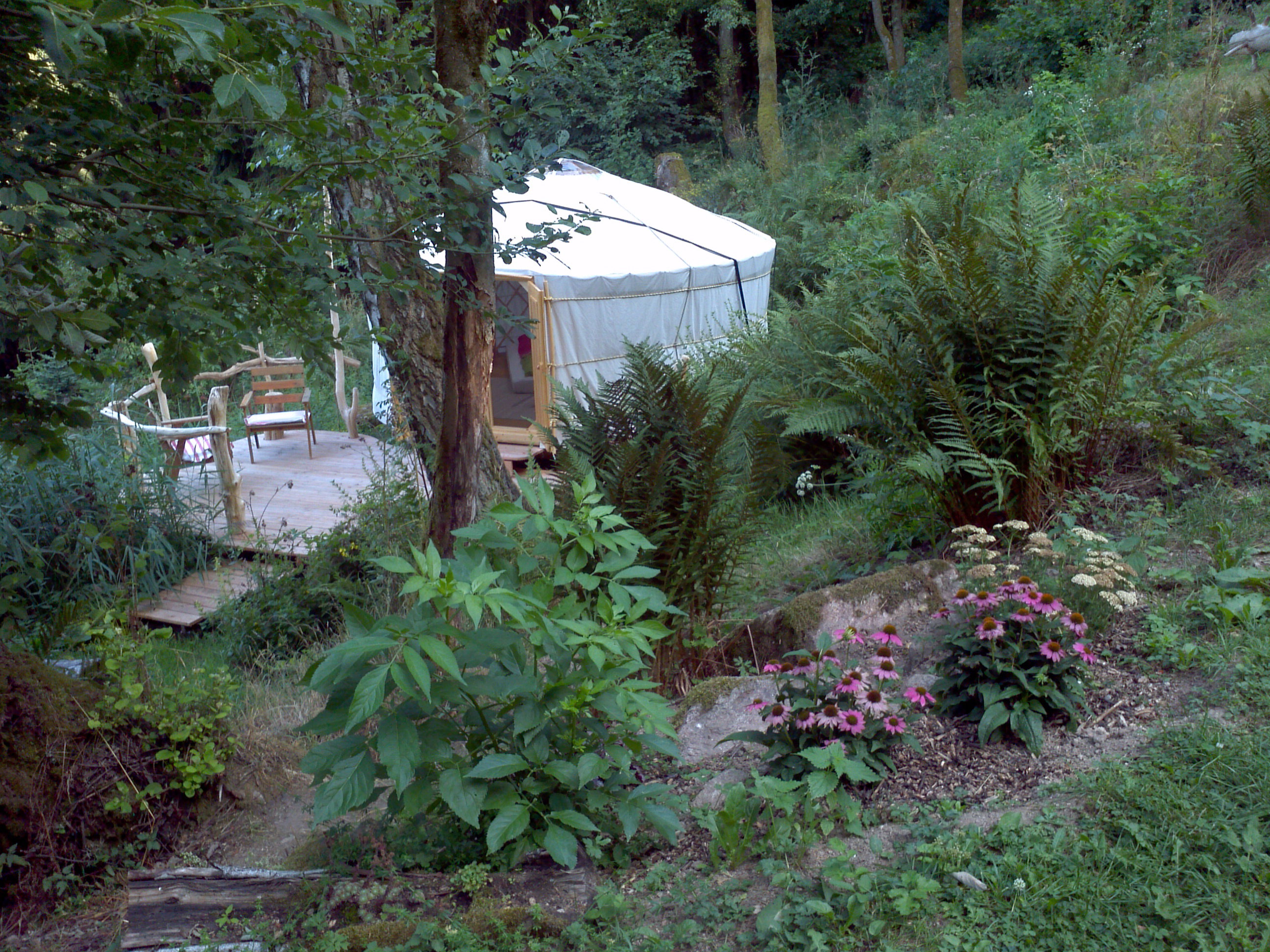 Natuurhuisje in Wald-Michelbach