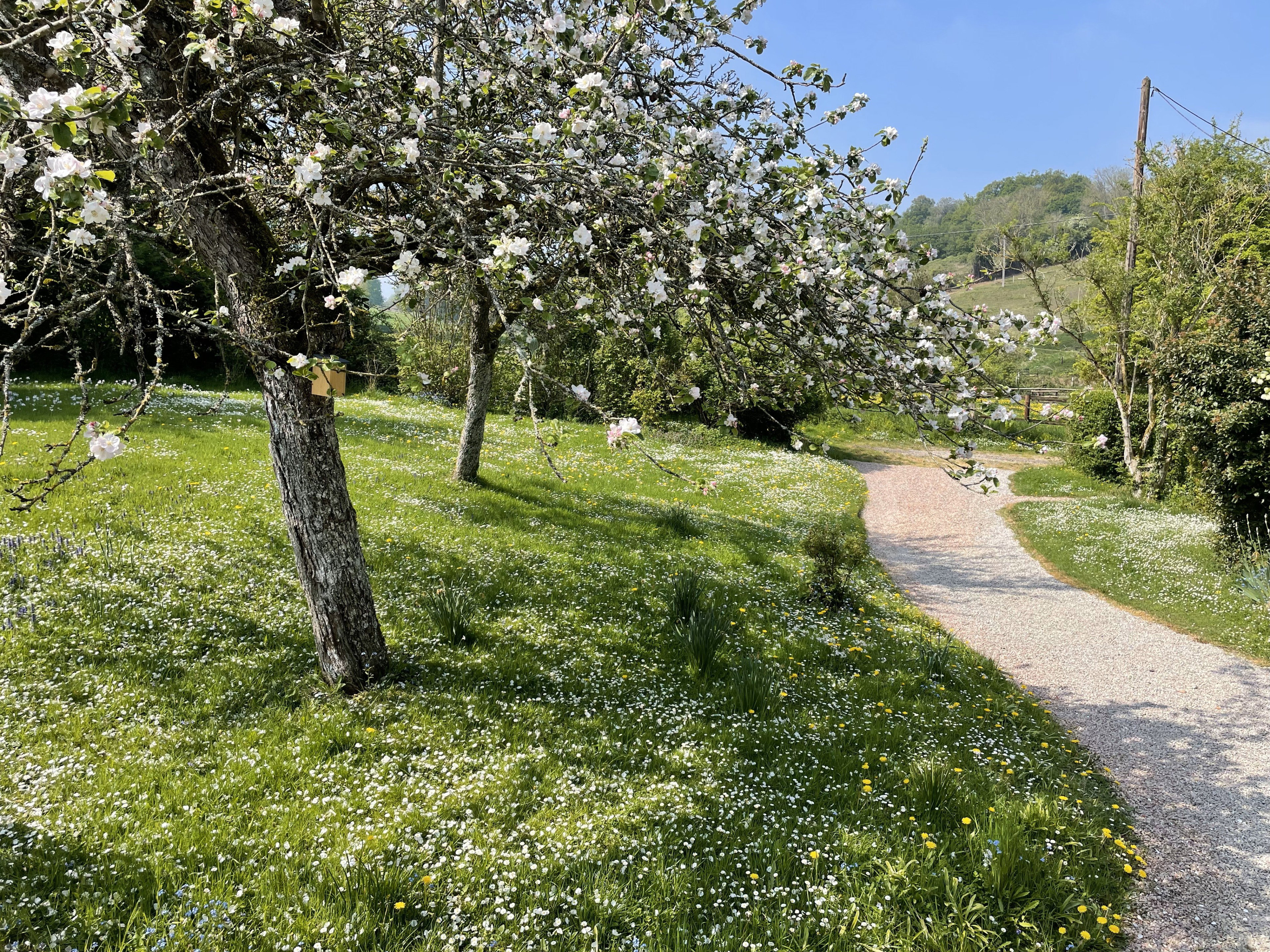 Maison nature à Les Champeaux
