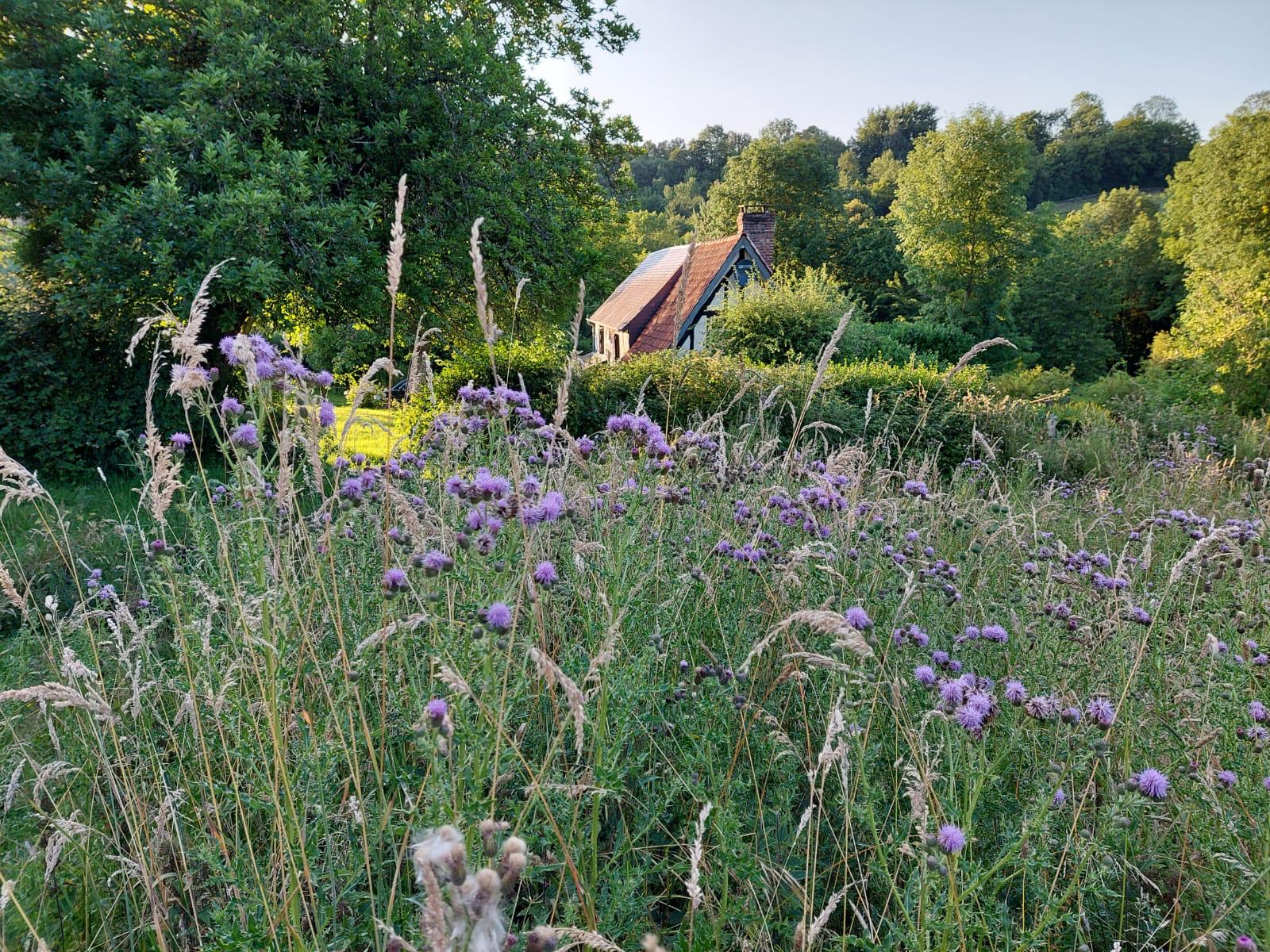 Maison nature à Les Champeaux