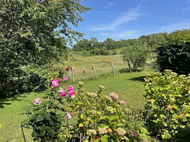 Maison nature à Les Champeaux