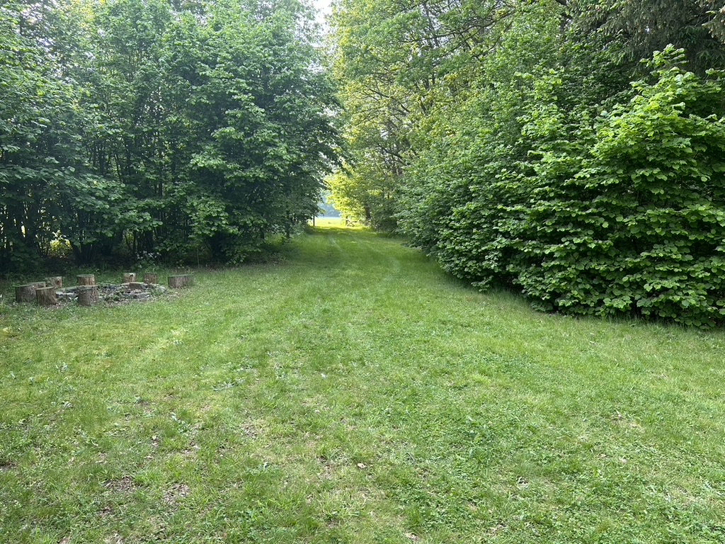 - image: 40