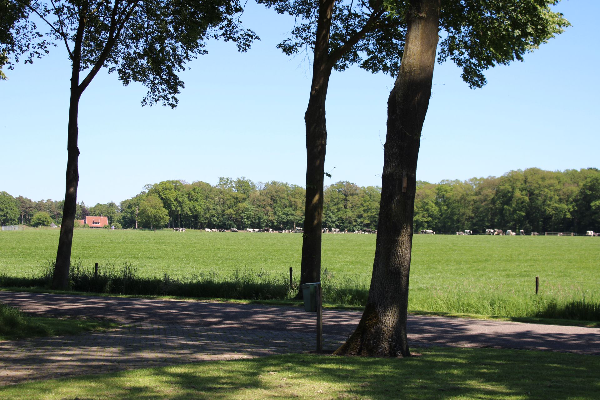 Natuurhuisje in Rossum (ov)
