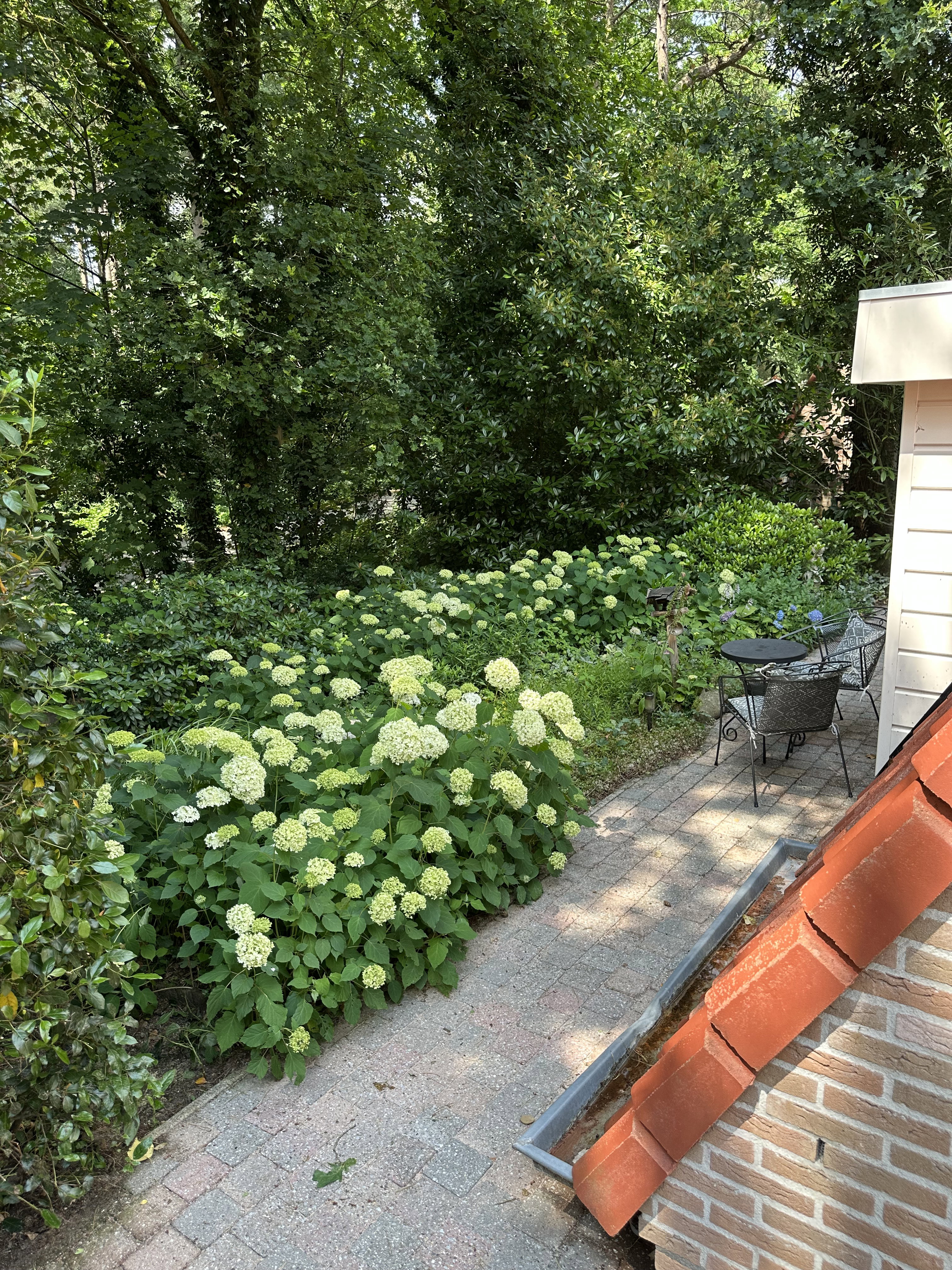 Nature house in Nunspeet