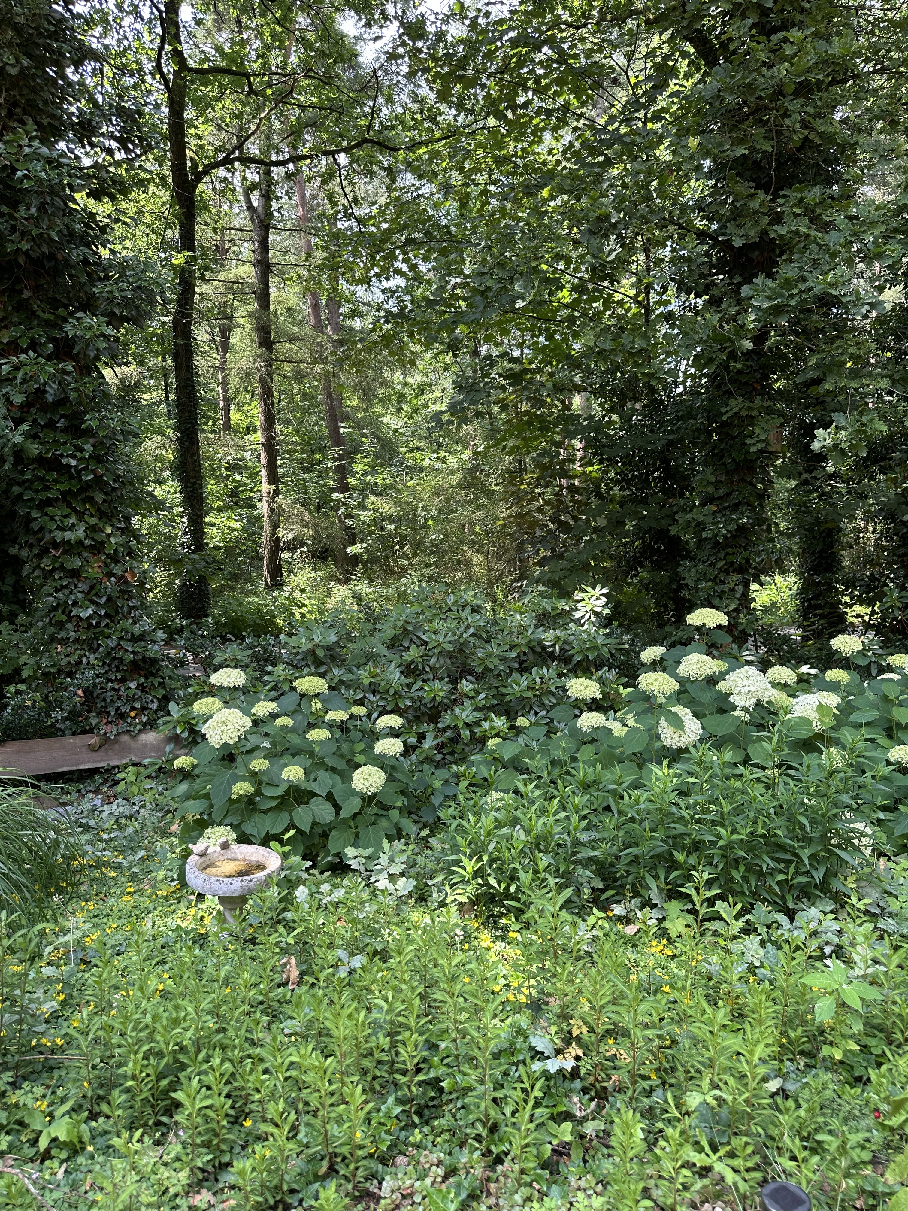 Nature house in Nunspeet